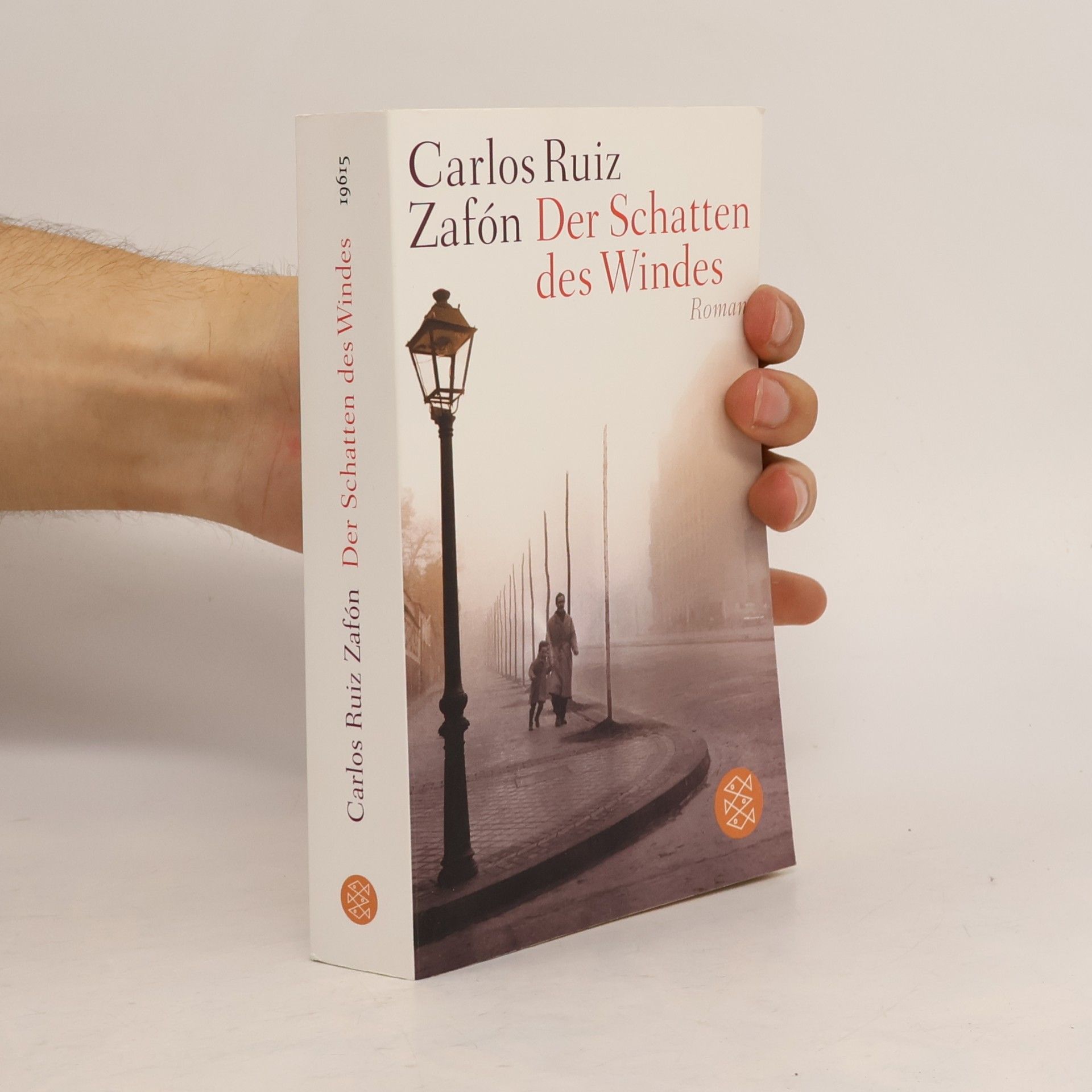 Carlos Ruiz Zafón Der Schatten des Windes
