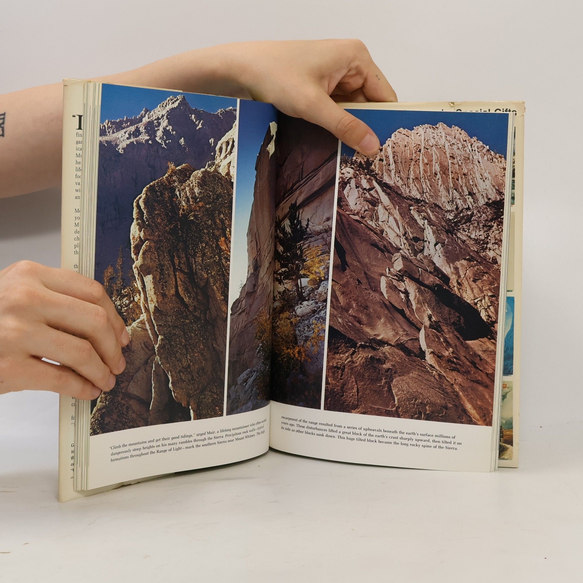 Tom Melham John Muir's Wild America