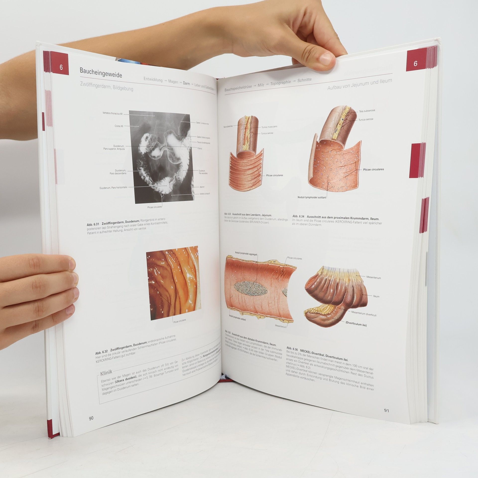 Johannes Sobotta Atlas der Anatomie des Menschen