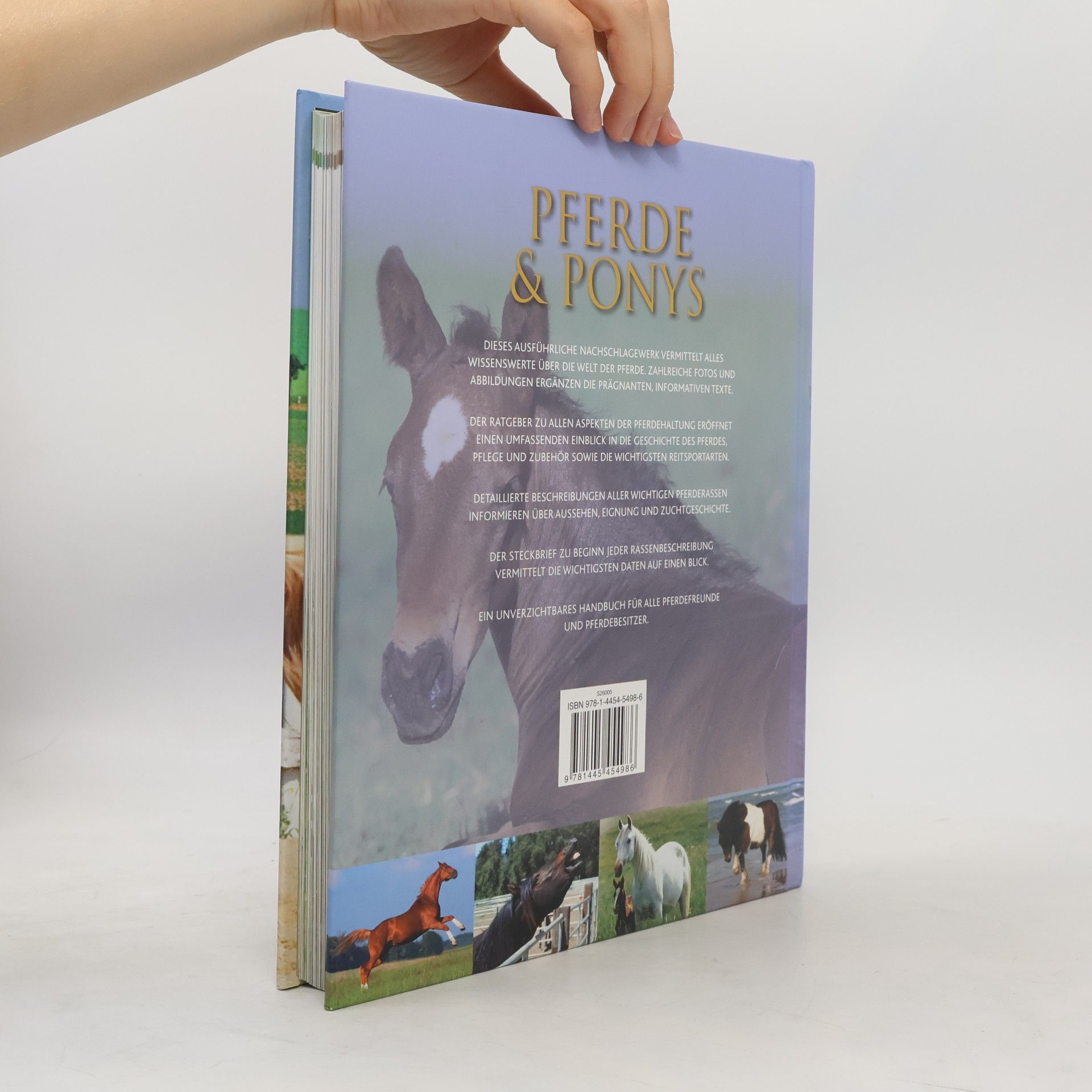 Debby Sly Pferde und Ponys. Alles über Pferdepflege, Reitsport und die Geschichte des Pferdes. Über 200 Rassen