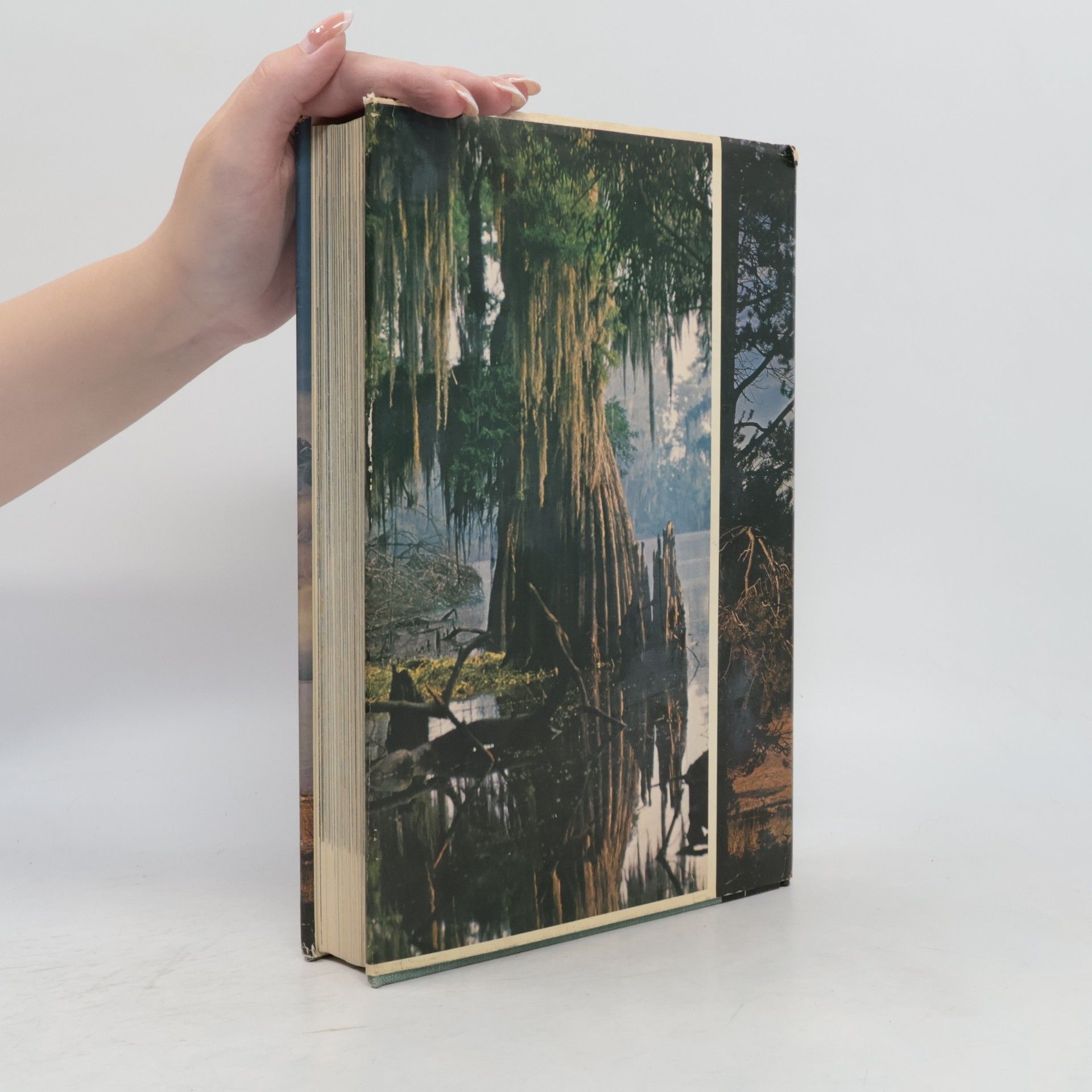 Kolektiv autorů Scenic Wonders of America