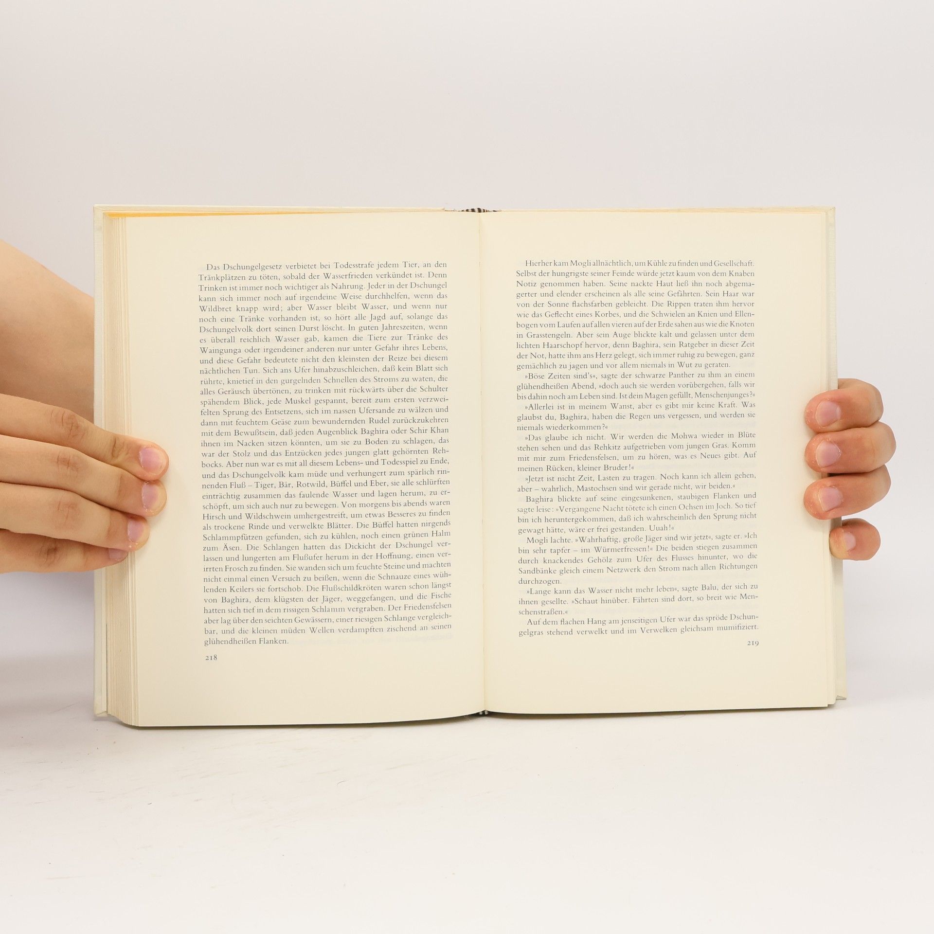 Rudyard Kipling Die Dschungelbücher