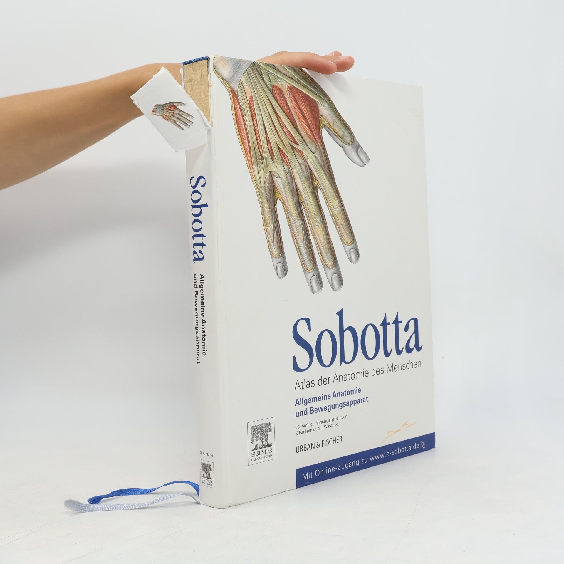 Johannes Sobotta Allgemeine Anatomie und Bewegungsapparat