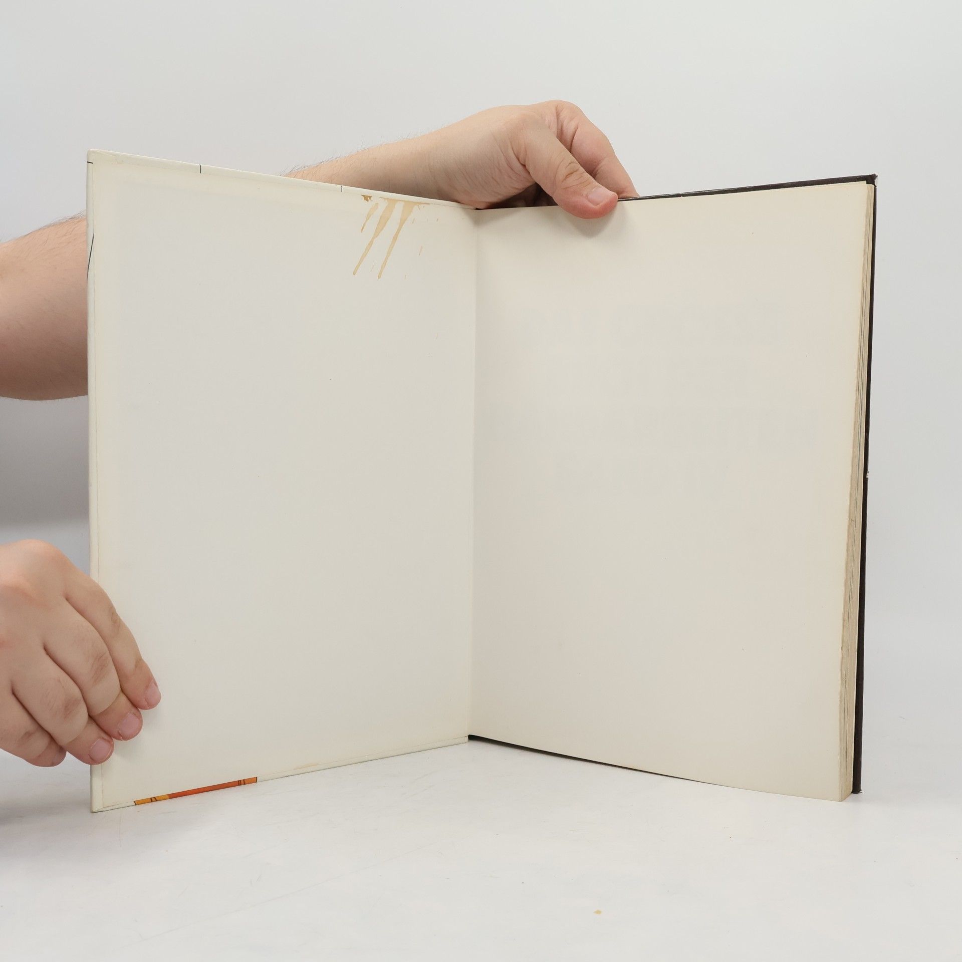 Autorenkollektiv Das große Buch der Handarbeiten IV