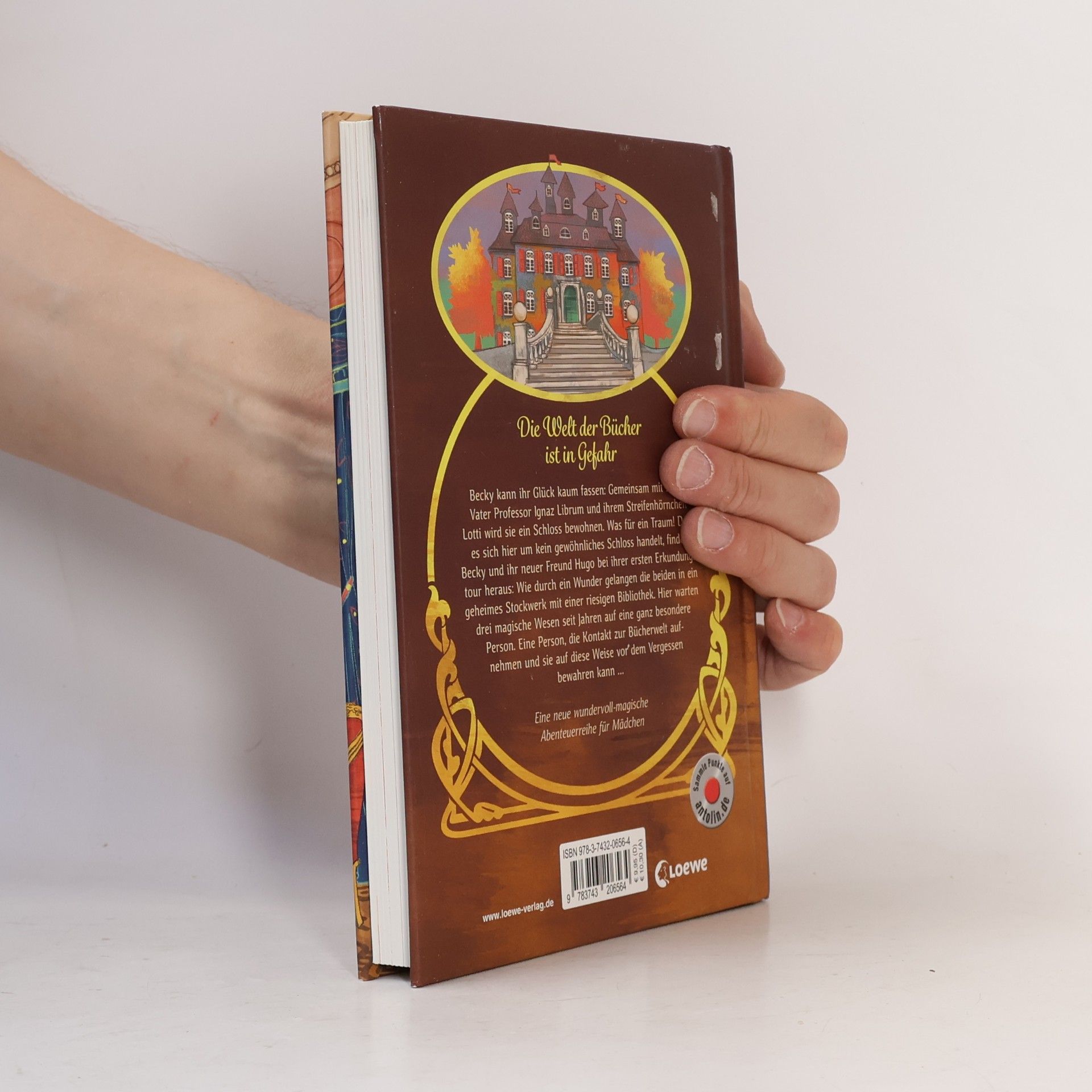 Barbara Rose Das Bücherschloss - Das Geheimnis der magischen Bibliothek