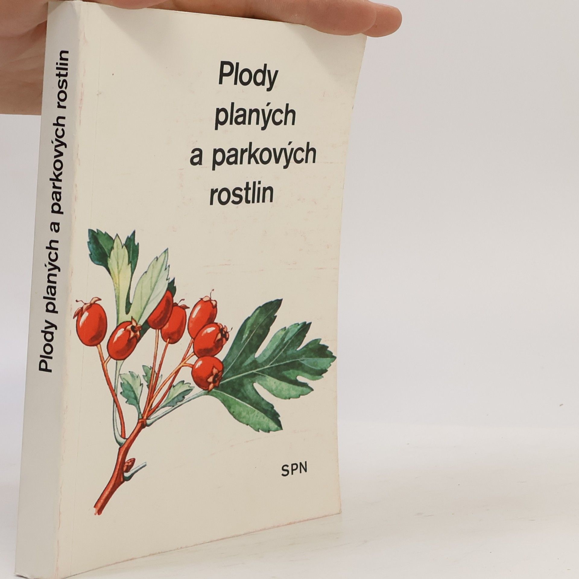 Alois Mikula Plody planých a parkových rostlin : kapesní atlas : pomocná kniha pro biologické zájmové kroužky na školách, v Domech pionýrů a