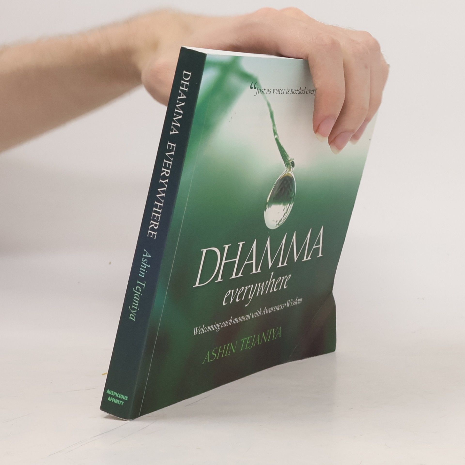 Ashin Tejaniya Dhamma Everywhere
