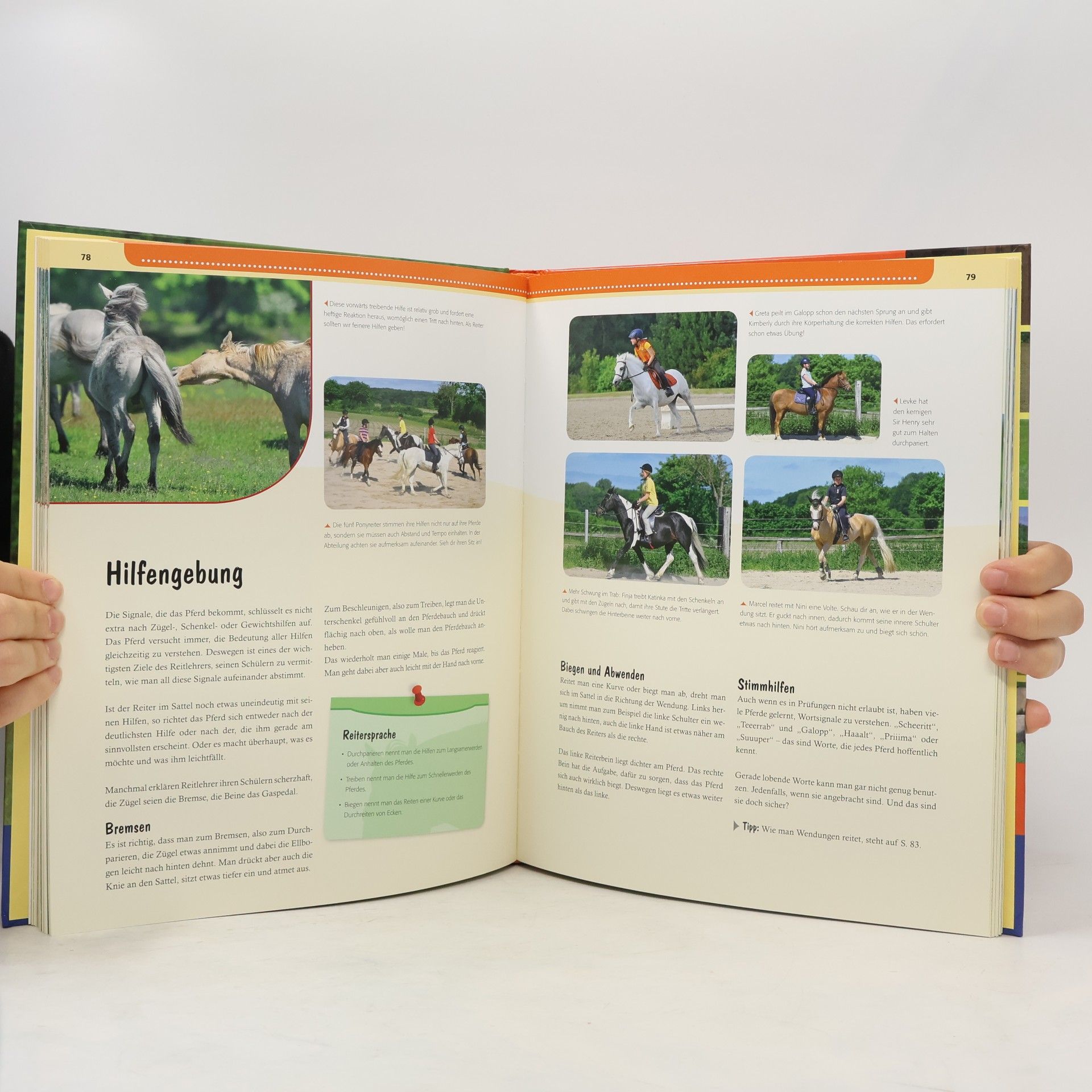 Ute Ochsenbauer Mein großes Buch vom Reiten lernen