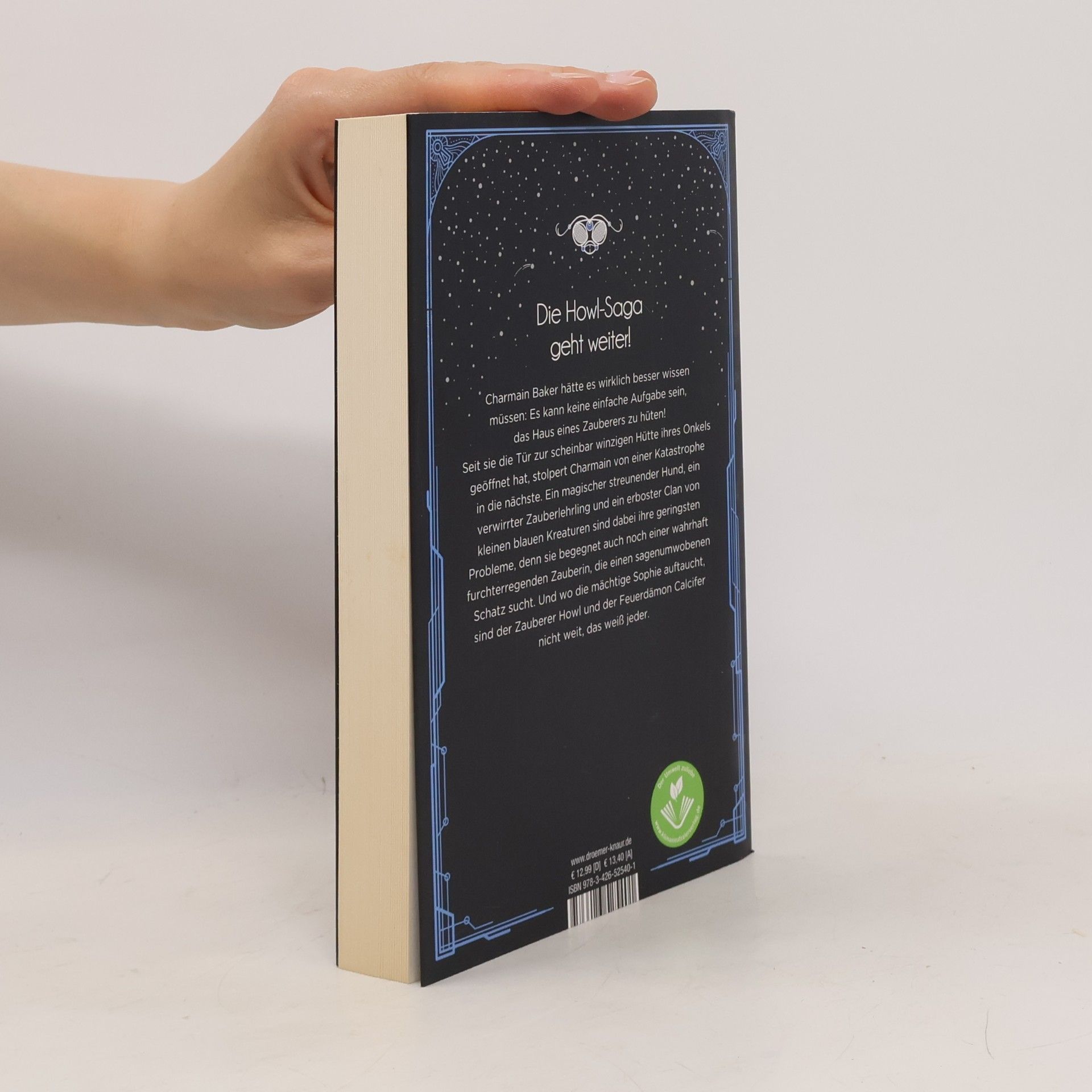 Diana Wynne Jones Das Haus der tausend Räume