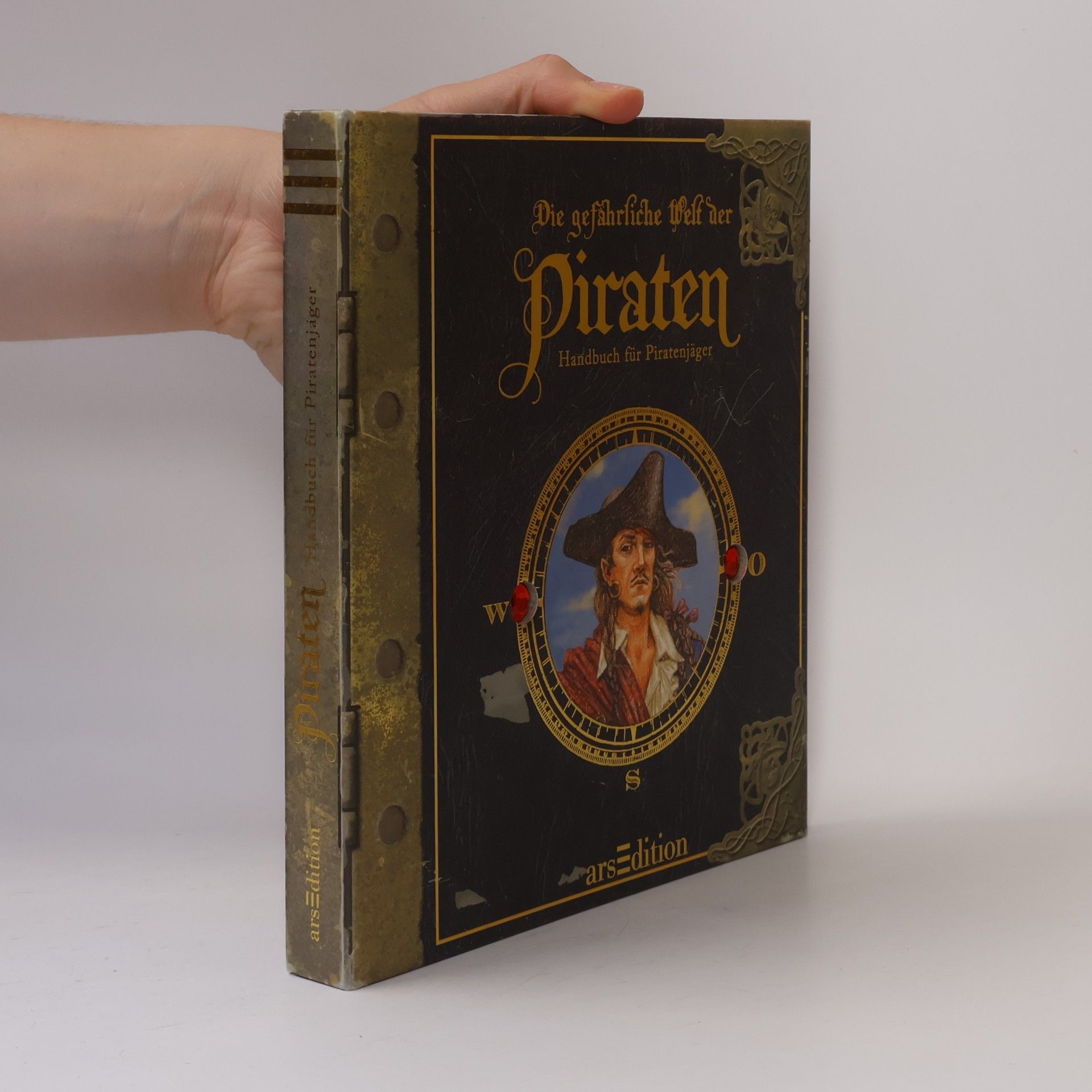 Die gefährliche Welt der Piraten
