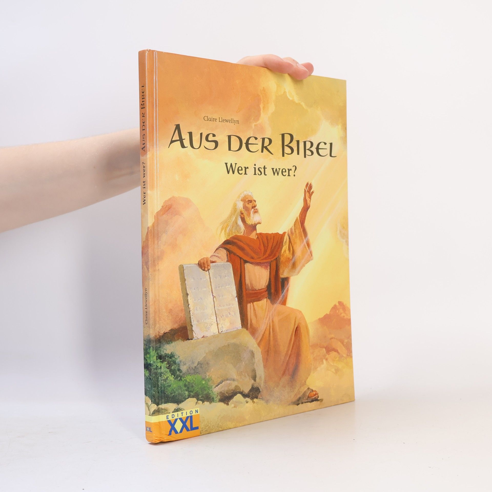Claire Llewellyn Aus der Bibel : wer ist wer?