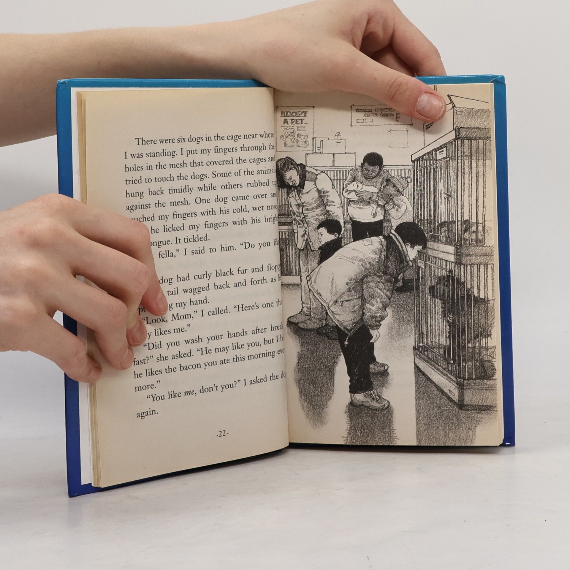 Johanna Hurwitz One Small Dog
