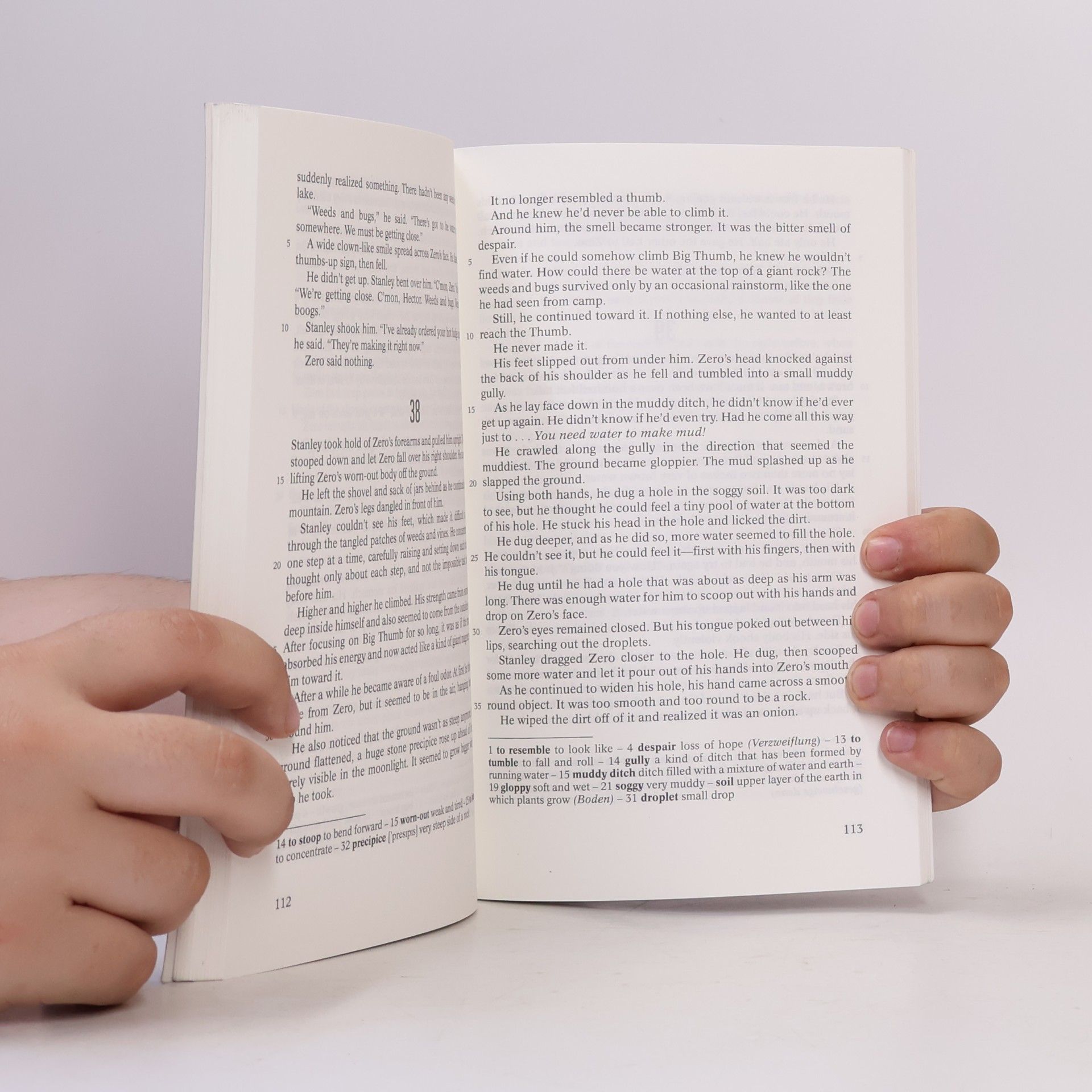 Louis Sachar Holes