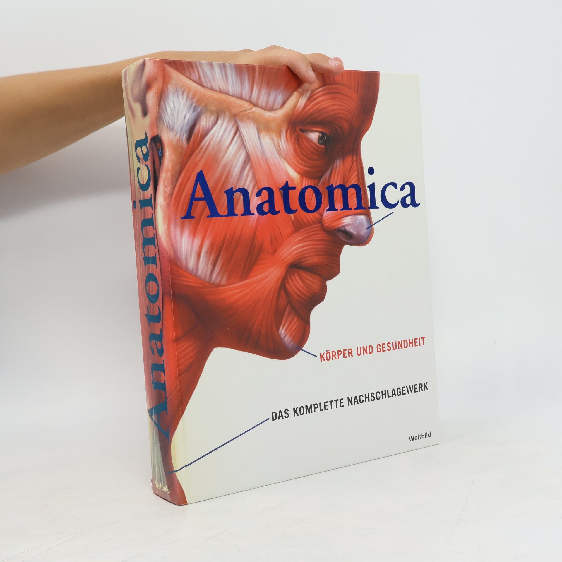 Anatomica