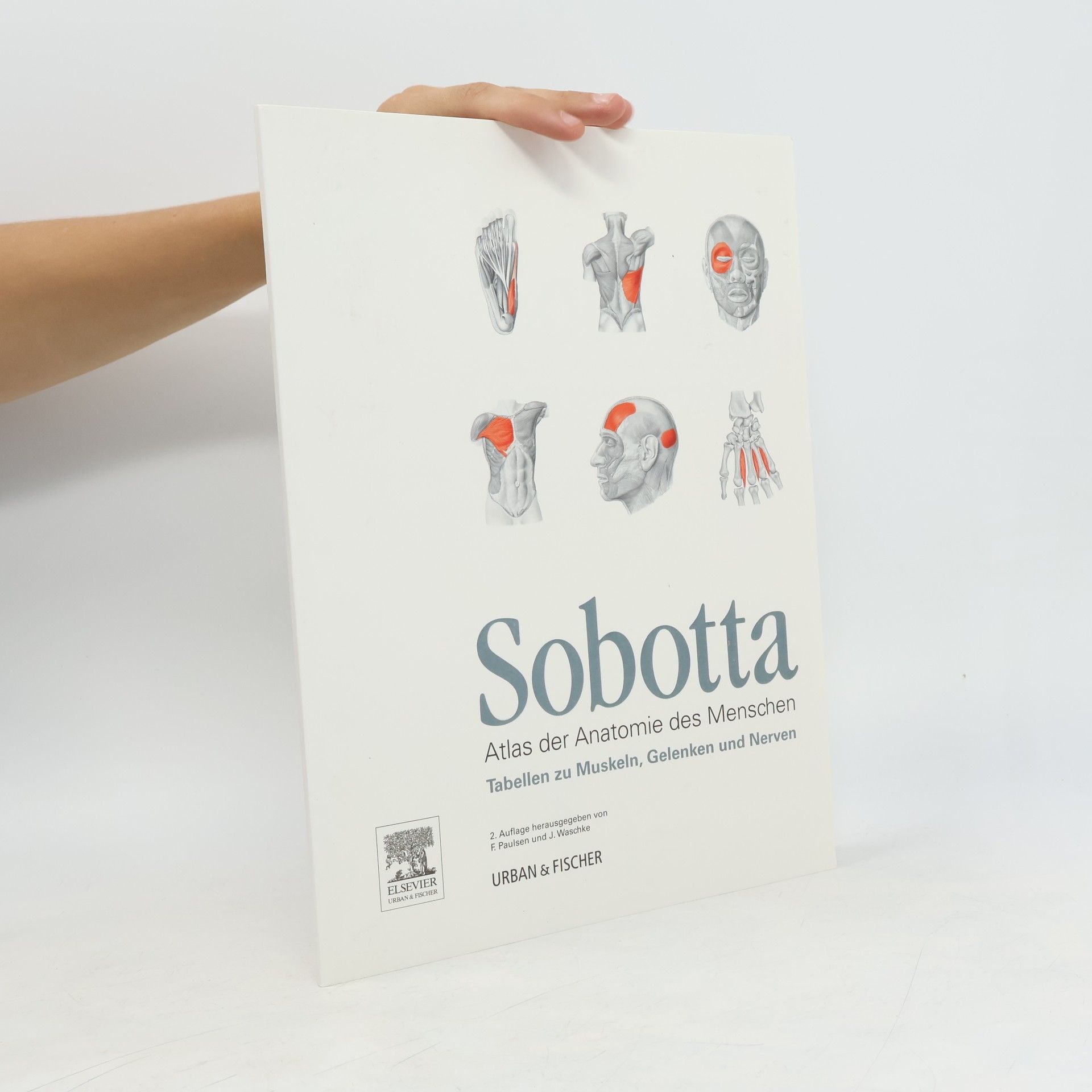 Johannes Sobotta Tabellen zu Muskeln, Gelenken und Nerven