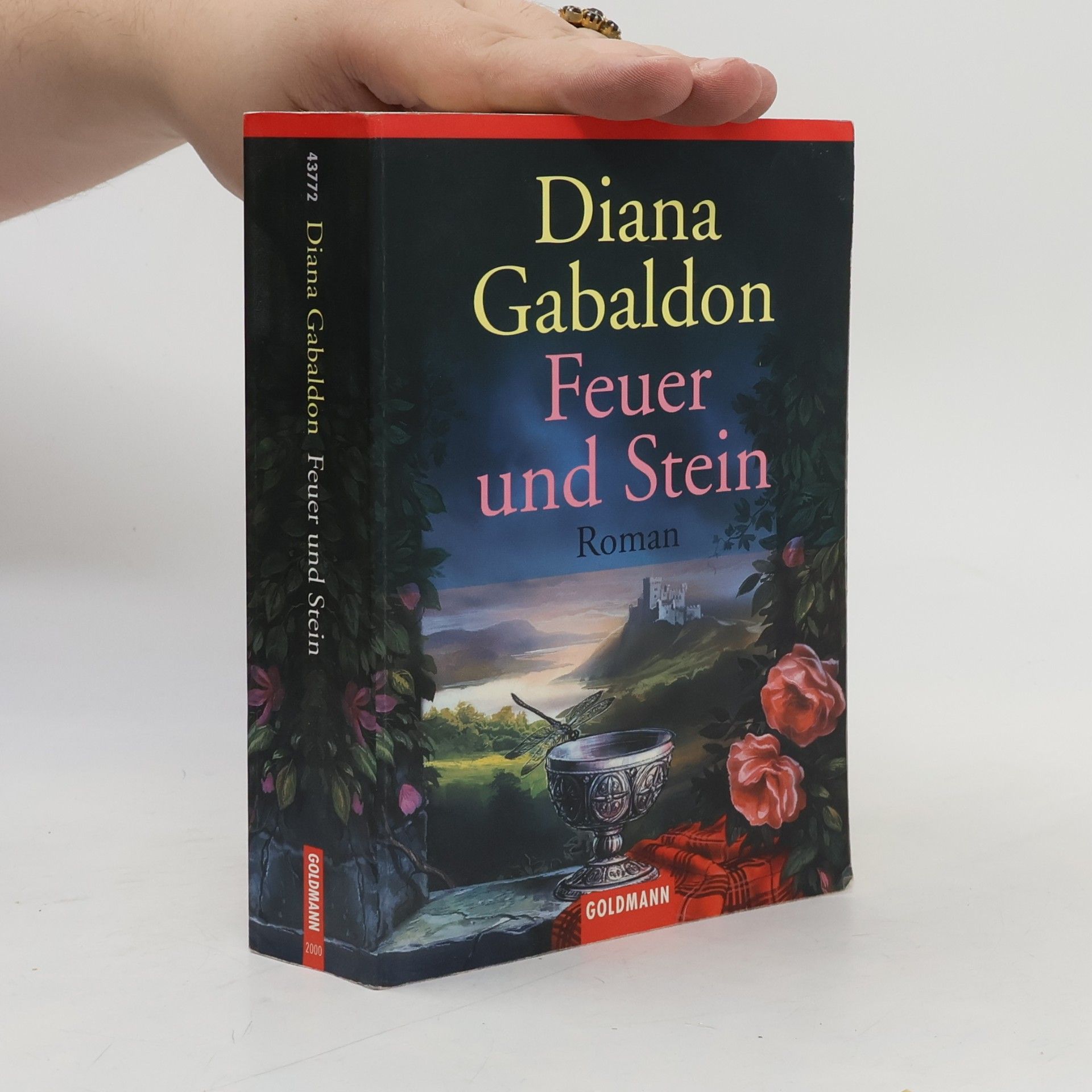 Diana Gabaldon Feuer und Stein