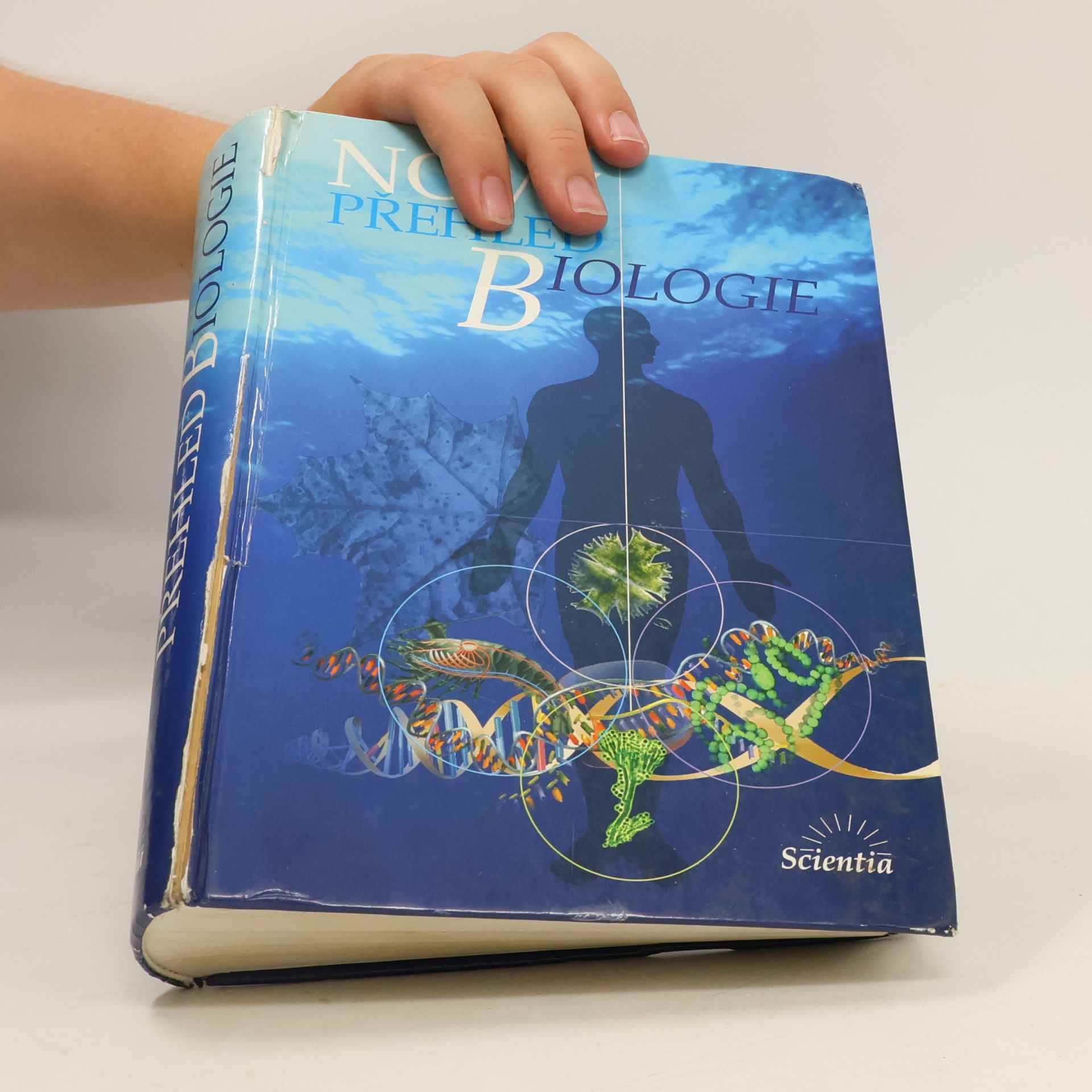 Autorenkollektiv Nový přehled biologie