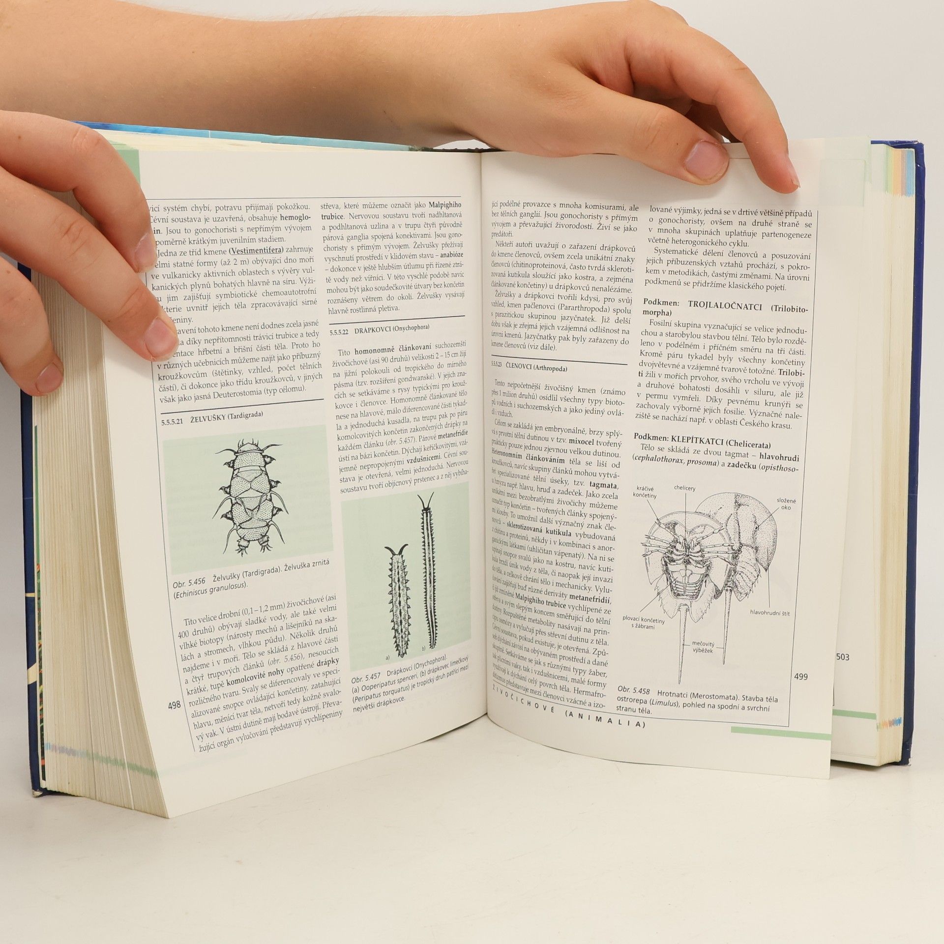 Autorenkollektiv Nový přehled biologie