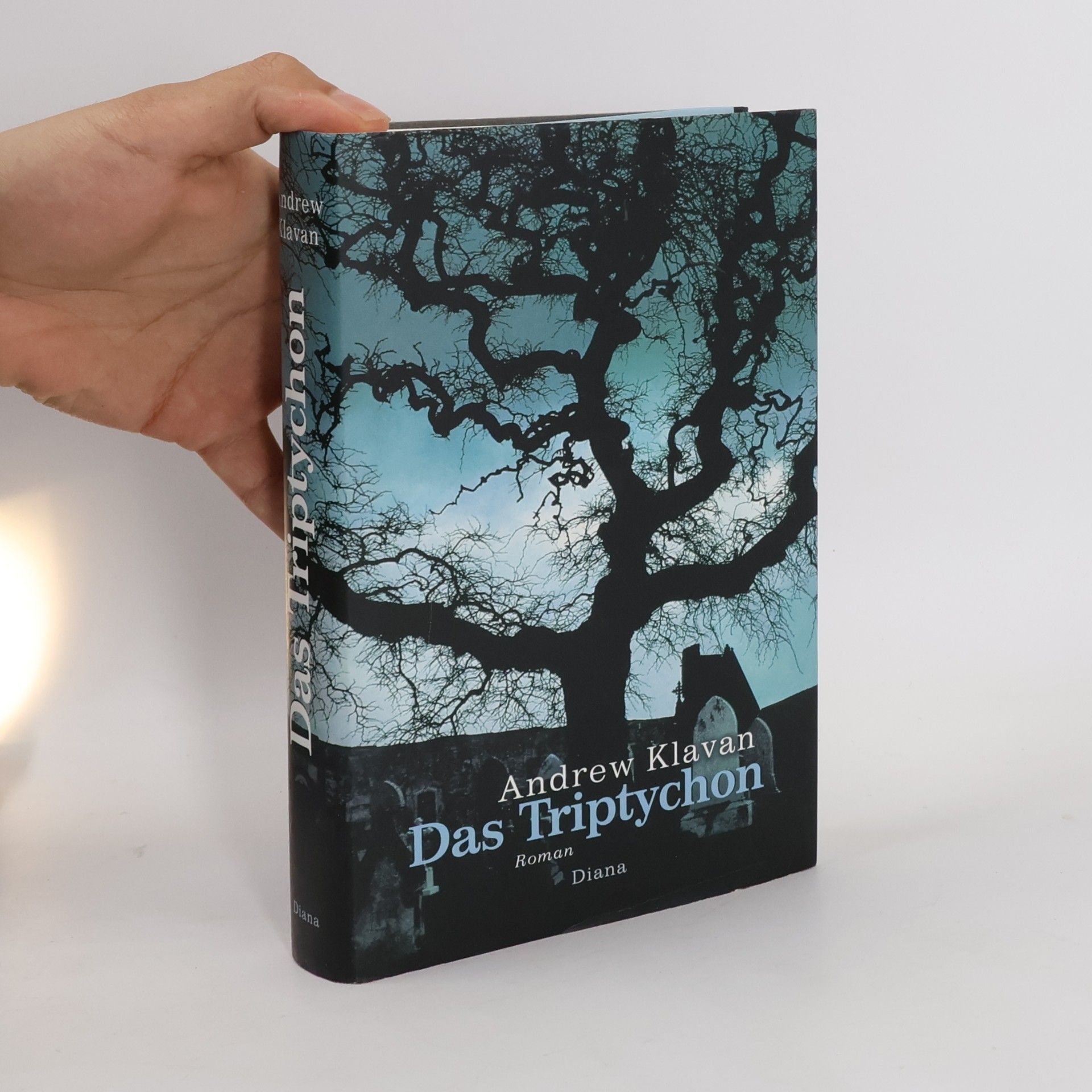 Andrew Klavan Das Triptychon