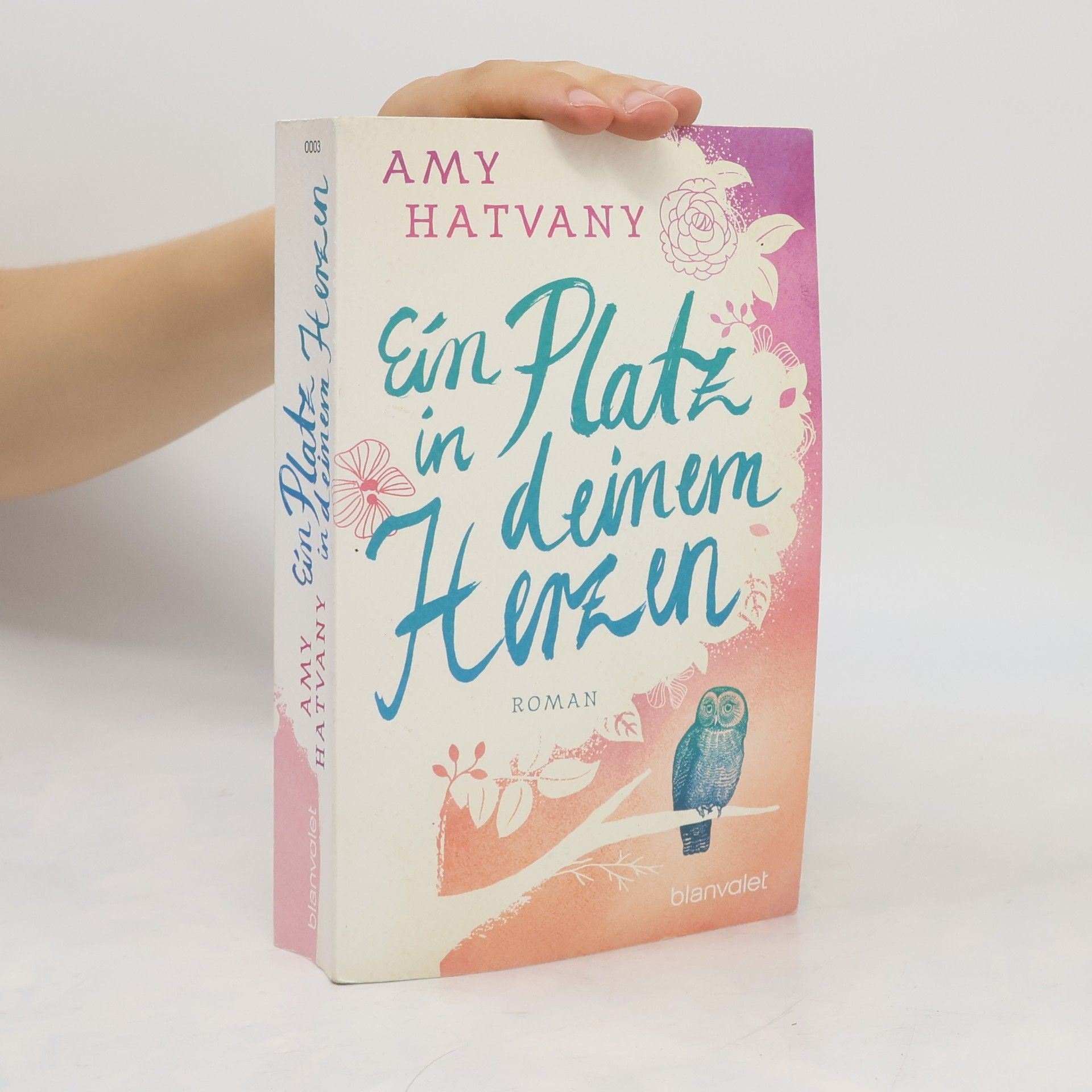Amy Hatvany Ein Platz in deinem Herzen