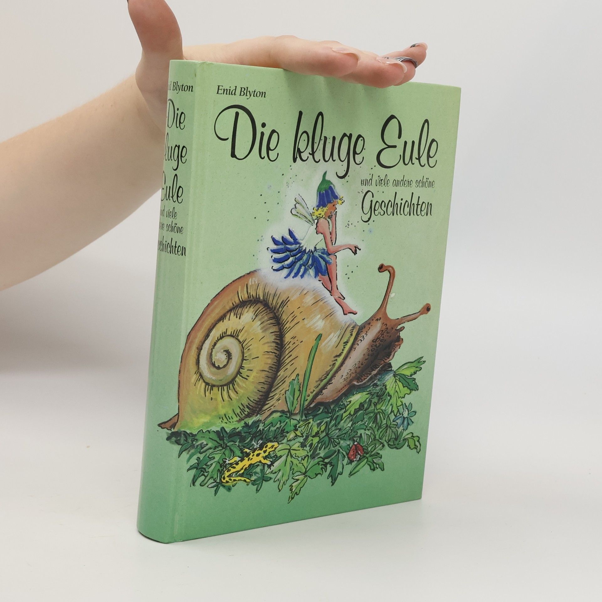 Enid Blyton Die kluge Eule