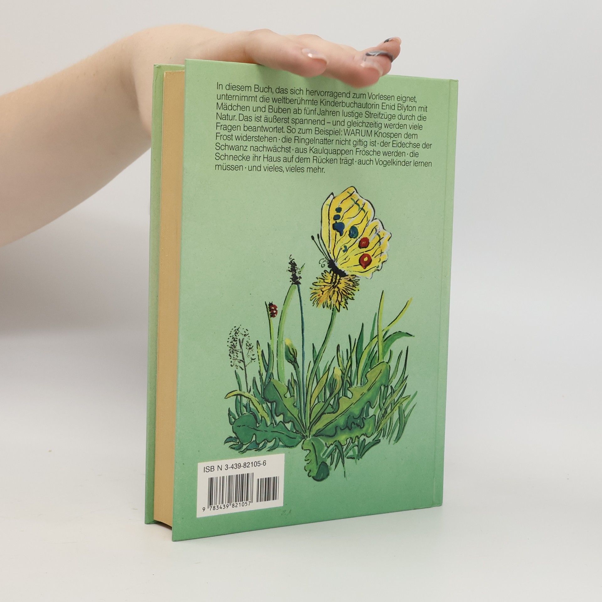 Enid Blyton Die kluge Eule