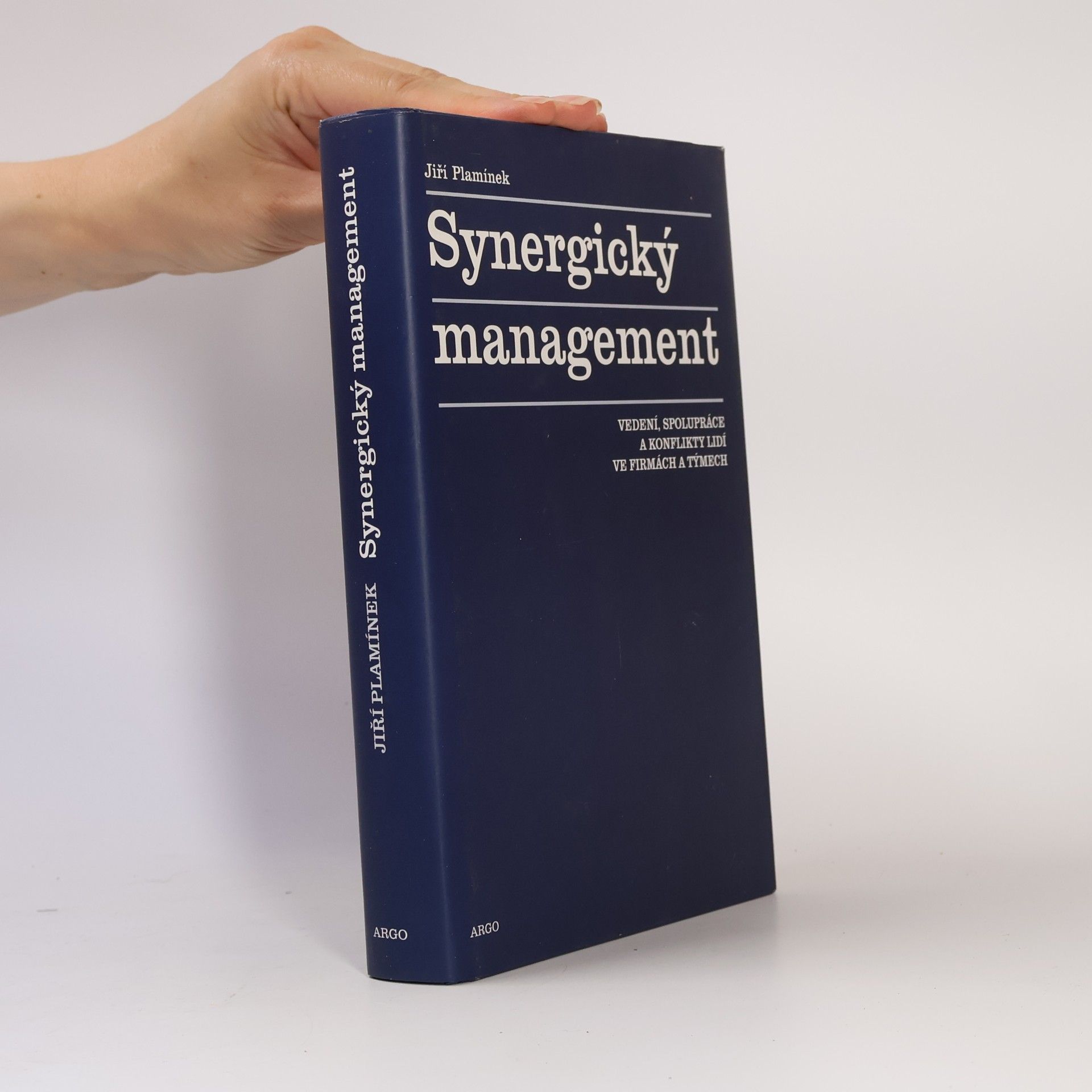 Synergický management