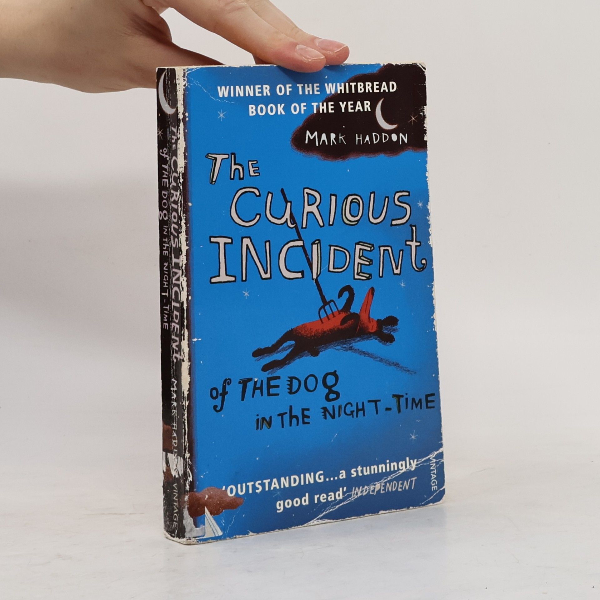 Mark Haddon The Curious Incident of The Dog in The Night-Time