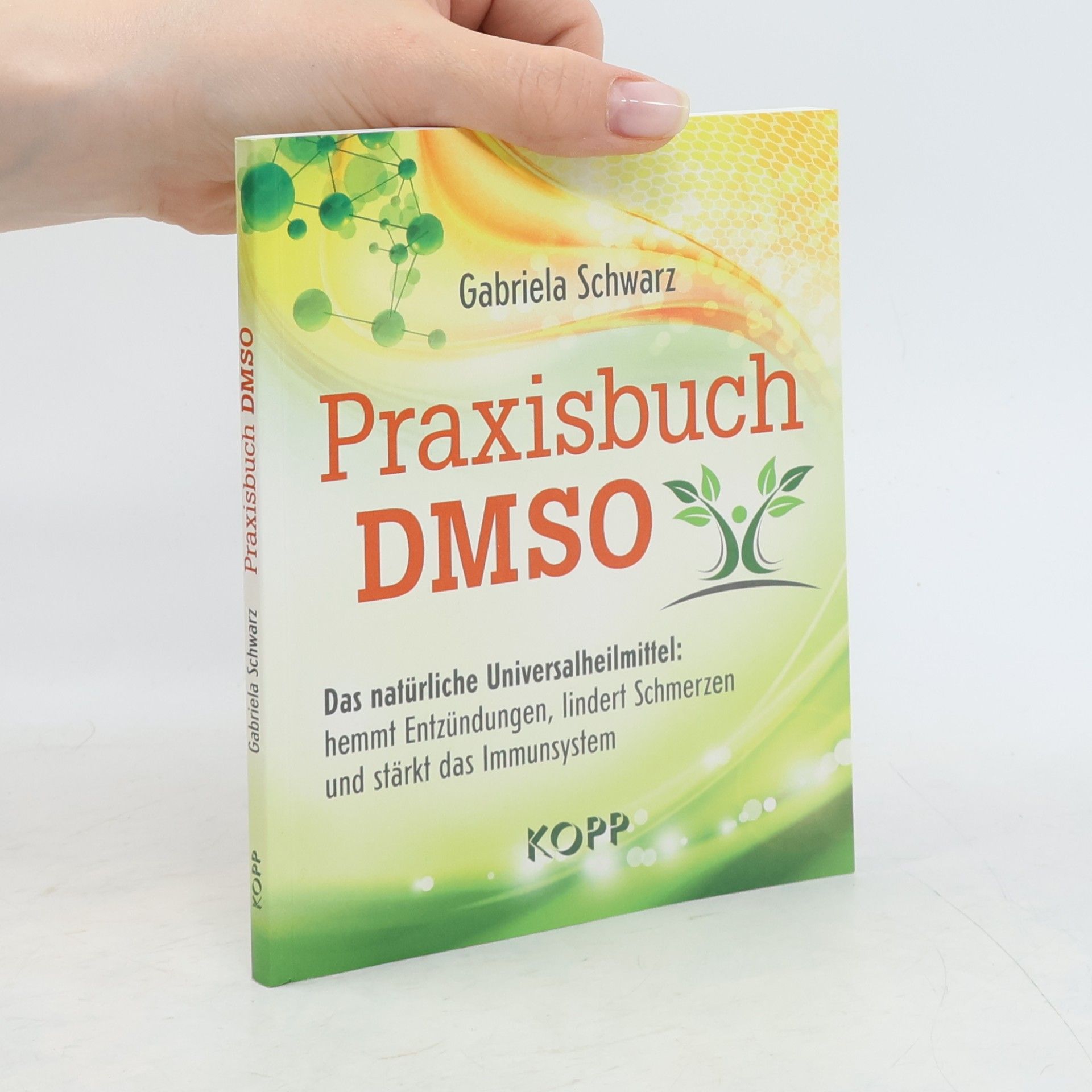 Gabriela Schwarz Praxisbuch DMSO