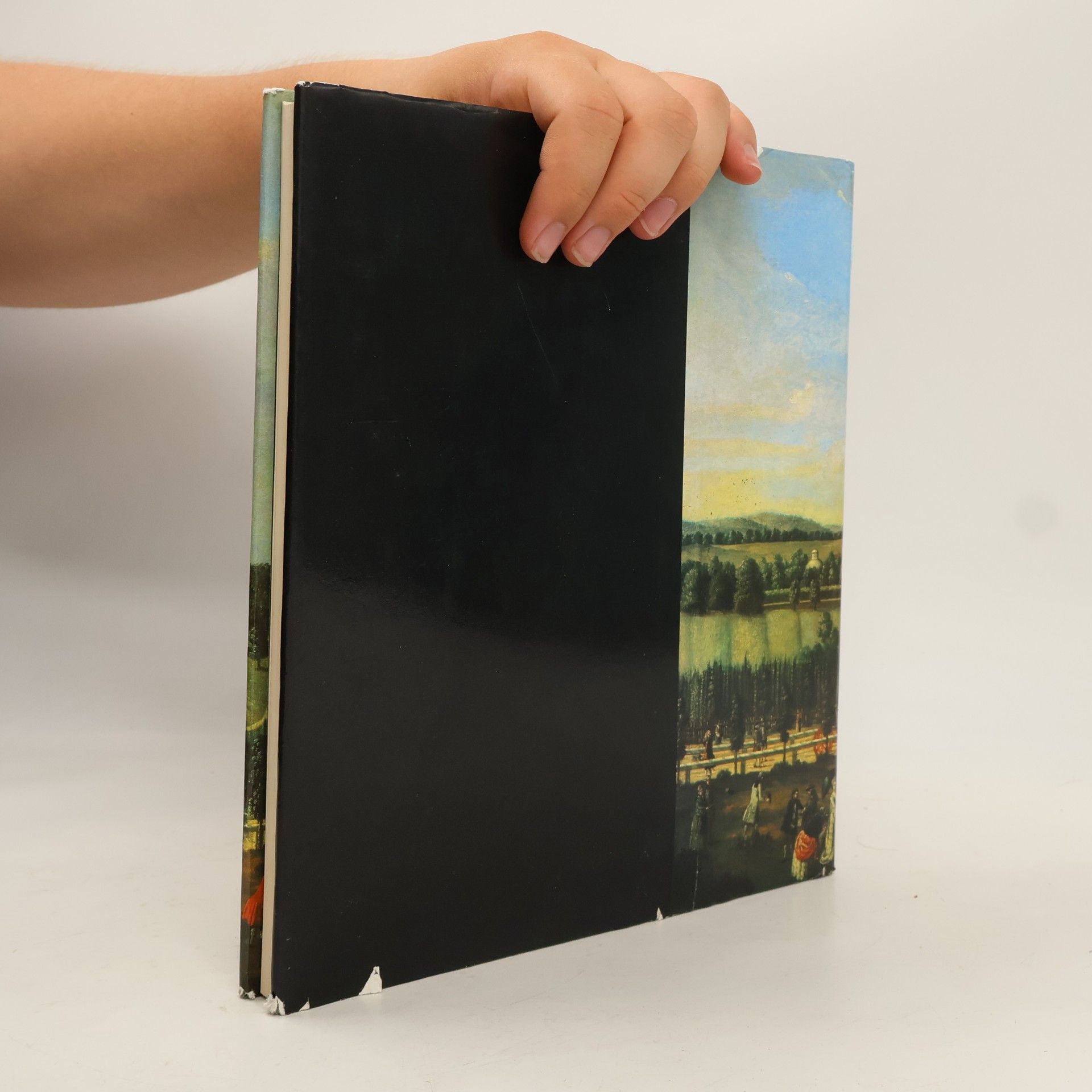 Autores varios Potsdamer Schlösser in Geschichte und Kunst