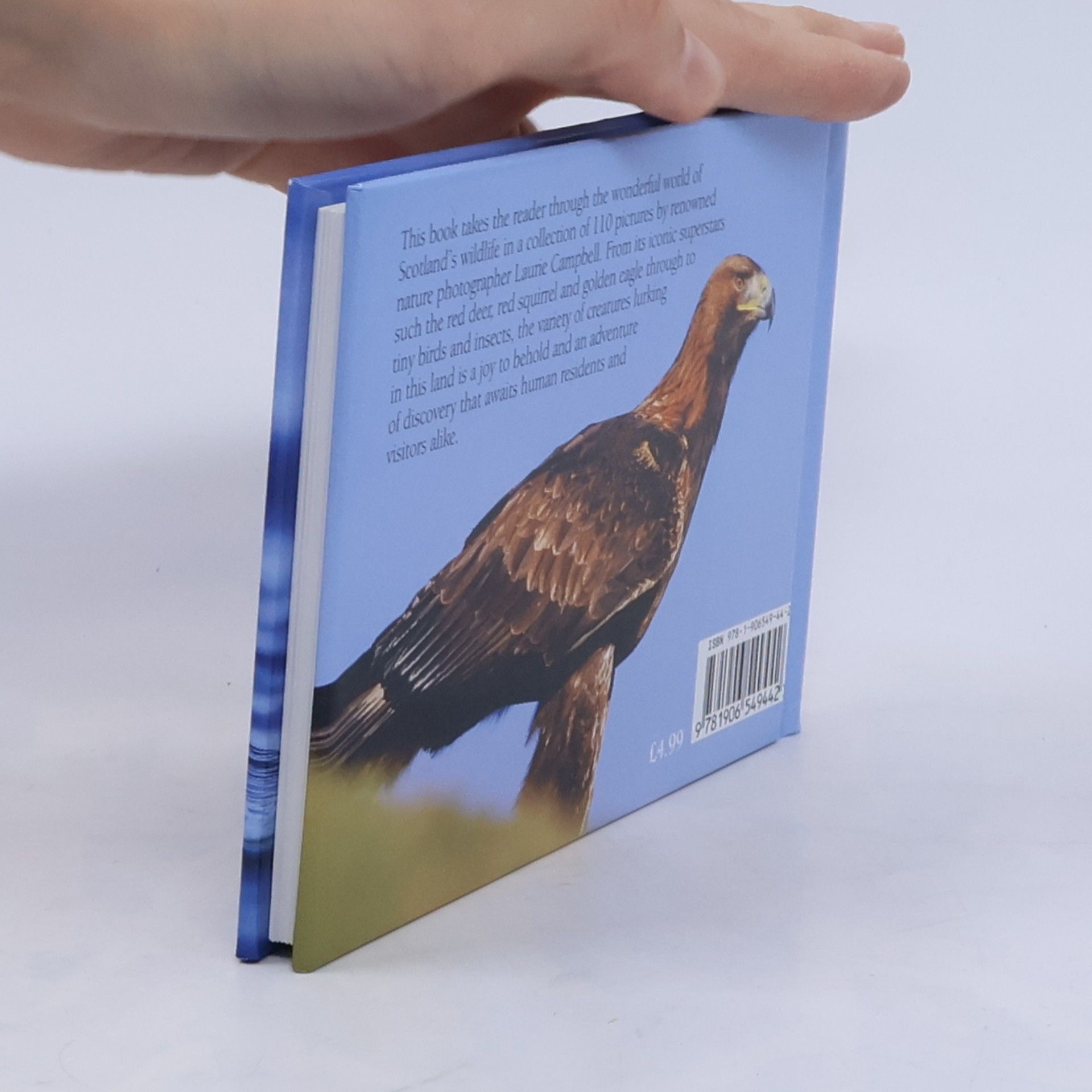Laurie Campbell Scotland's Wildlife: Picturing Scotland