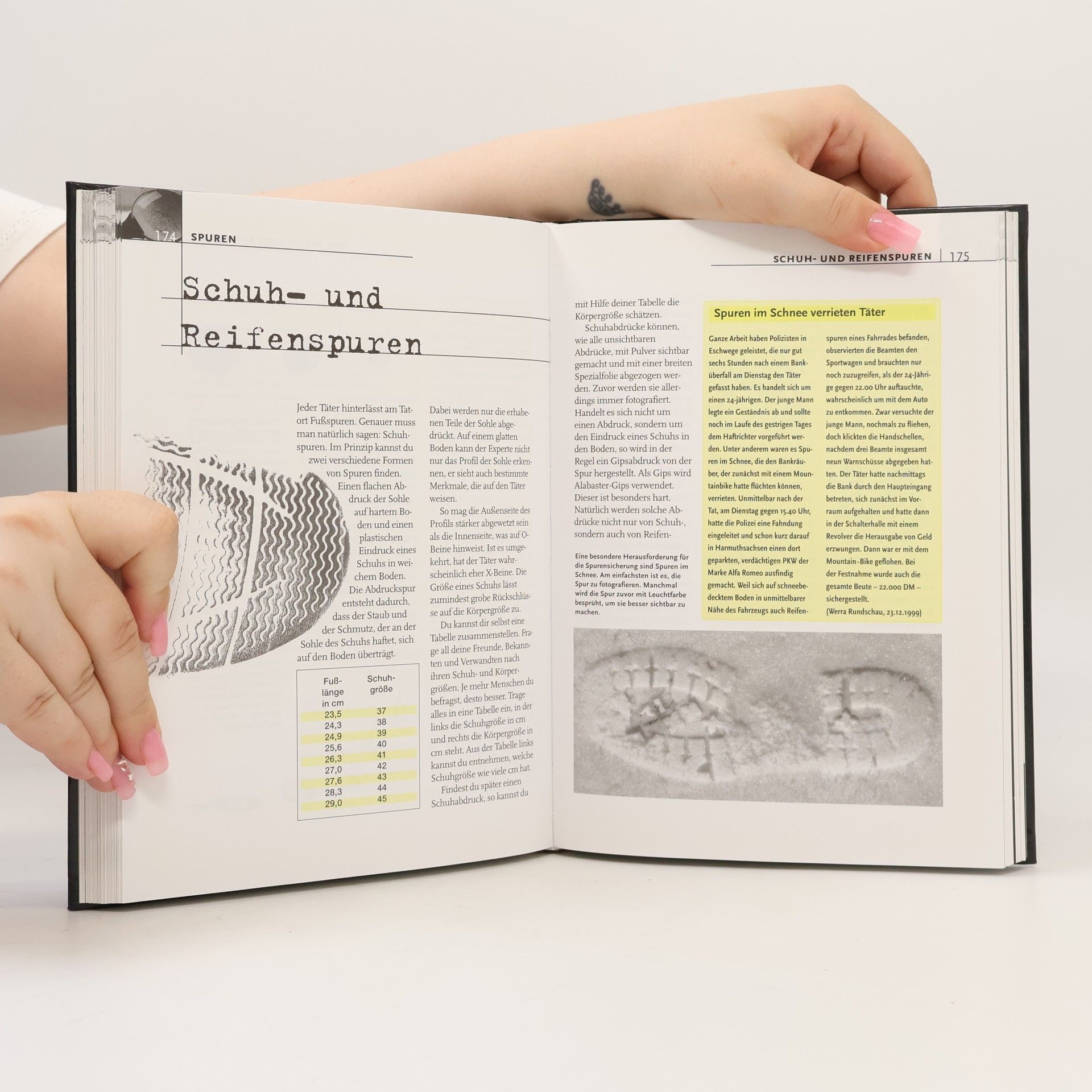 Paul Rey Die drei ???: Das große Detektivhandbuch