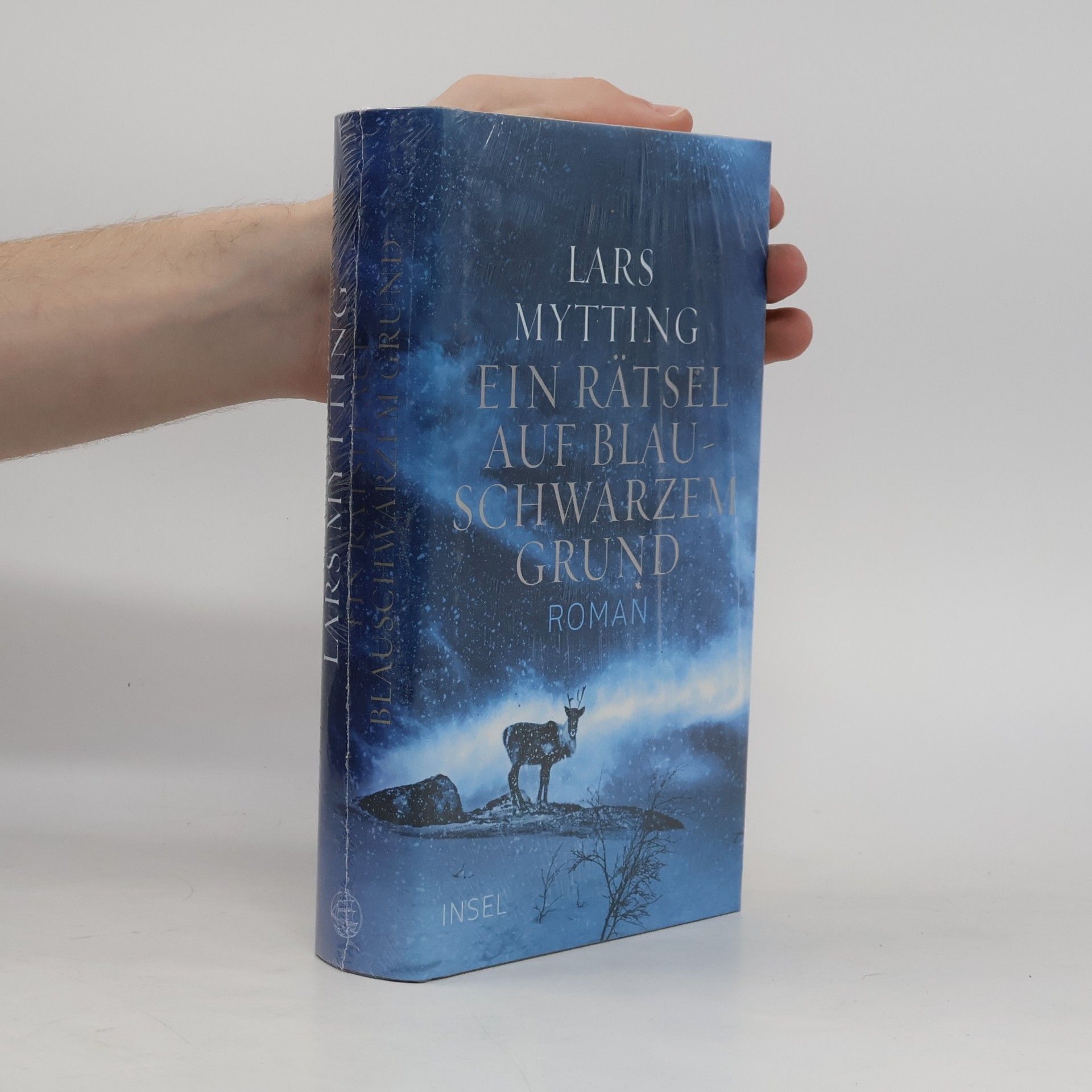 Lars Mytting Ein Rätsel auf blauschwarzem Grund