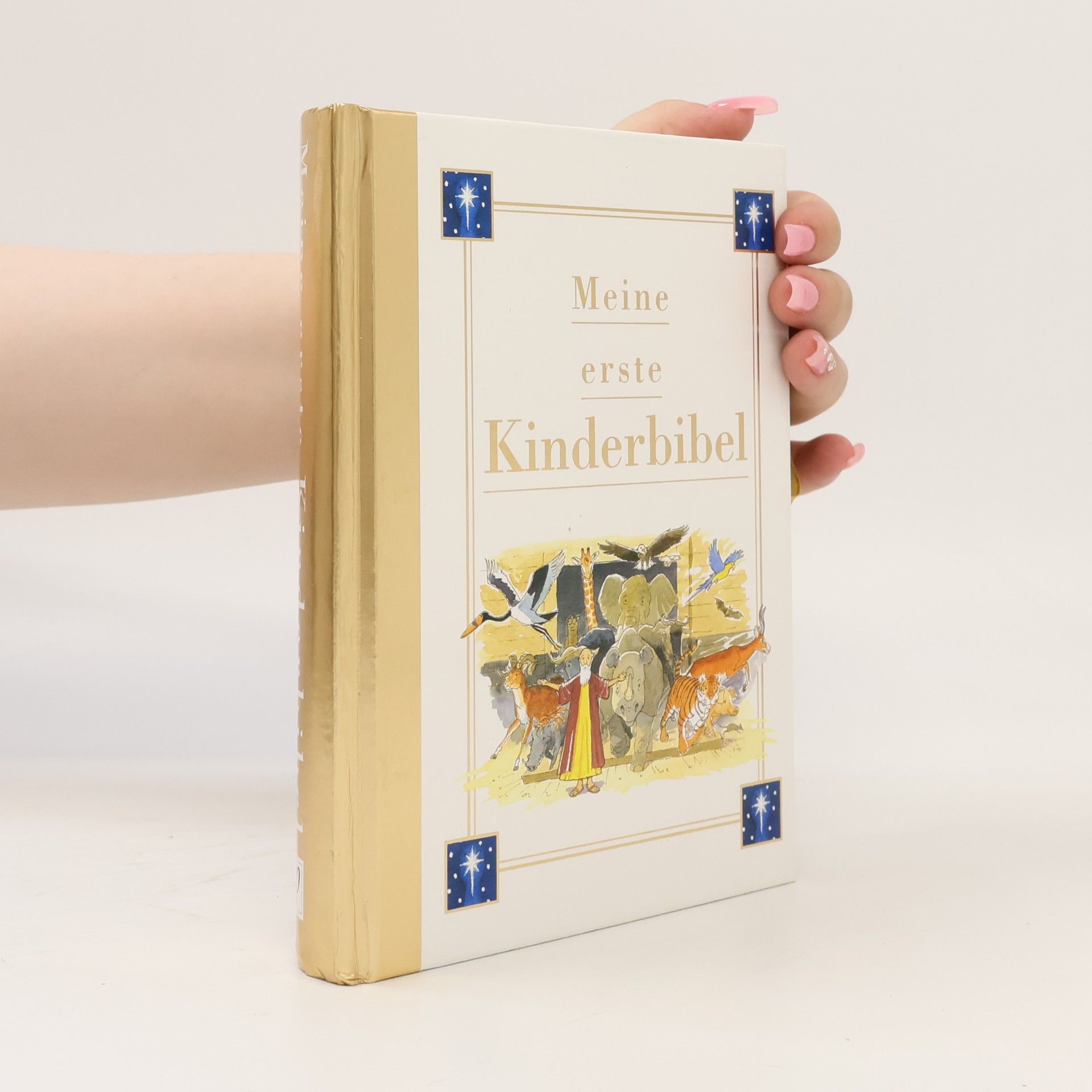 Auteurscollectief Meine erste Kinderbibel