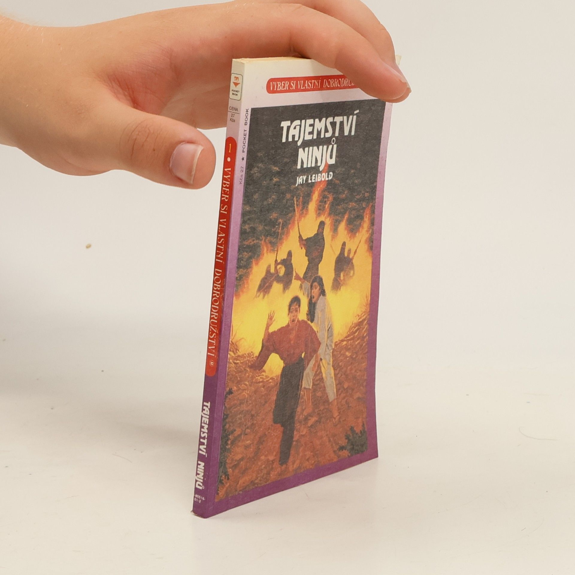 Jay Leibold Tajemství ninjů