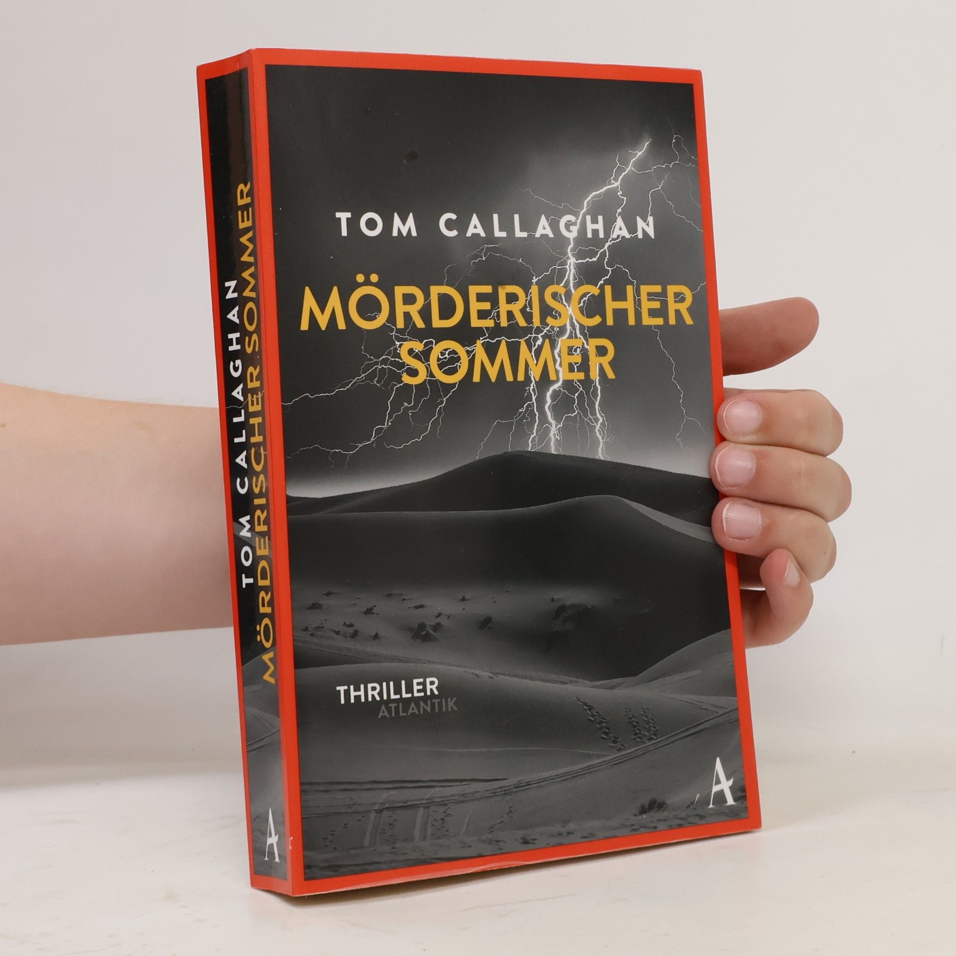Tom Callaghan Mörderischer Sommer