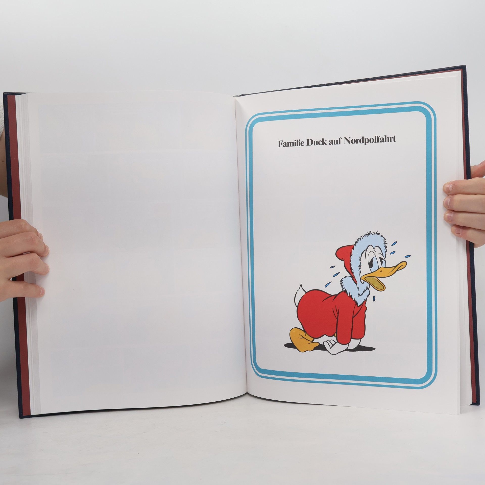 Walt Disney Ich Donald