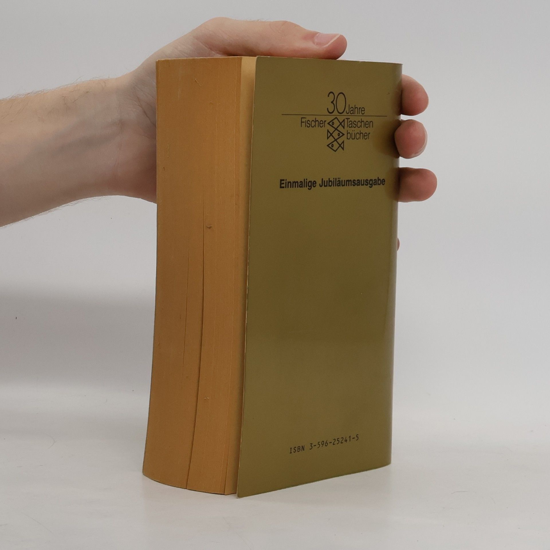 Doris May Lessing Das goldene Notizbuch