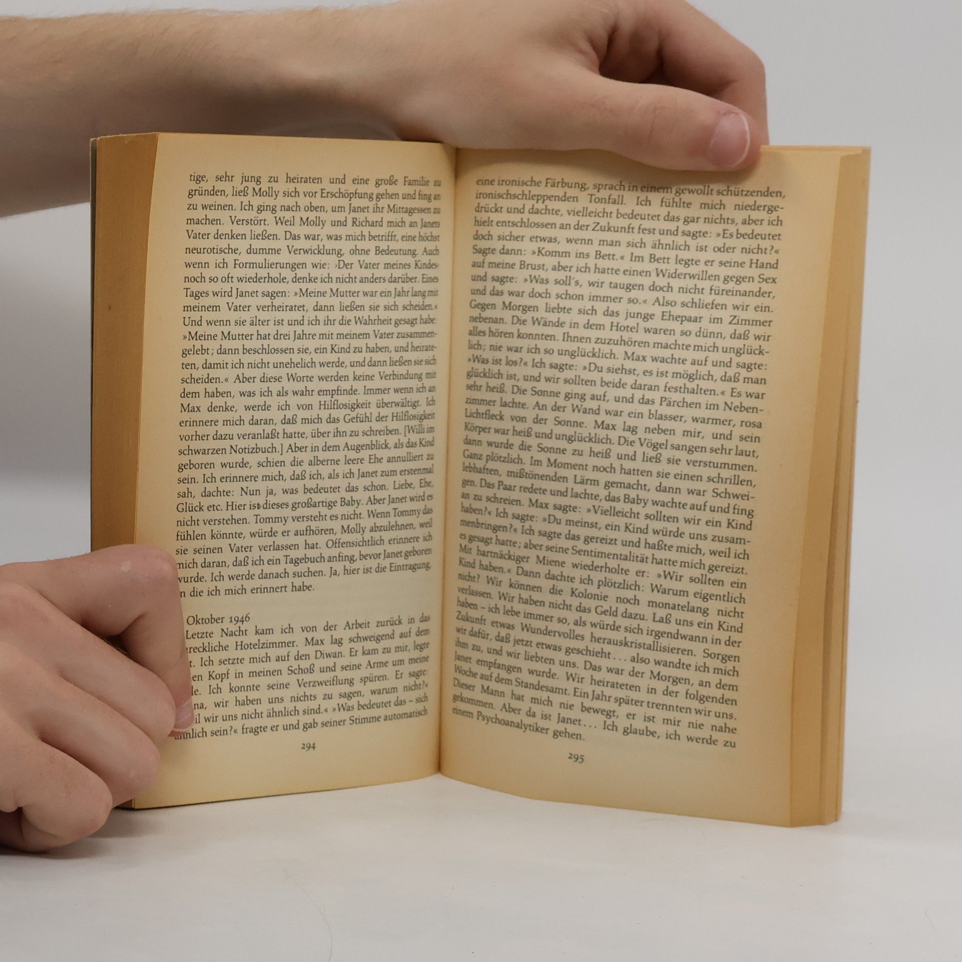 Doris May Lessing Das goldene Notizbuch