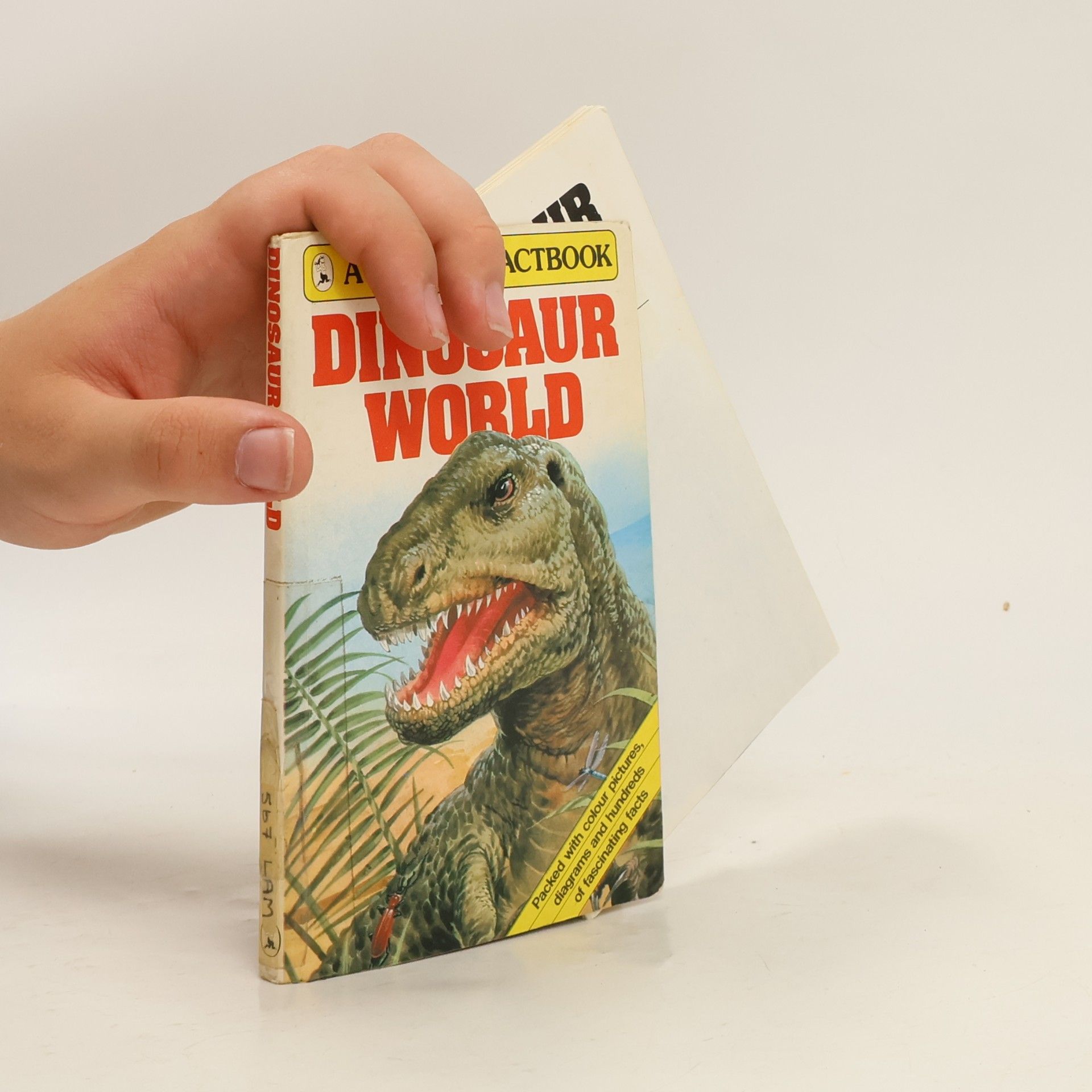 Piccolo Factbook: Dinosaur World