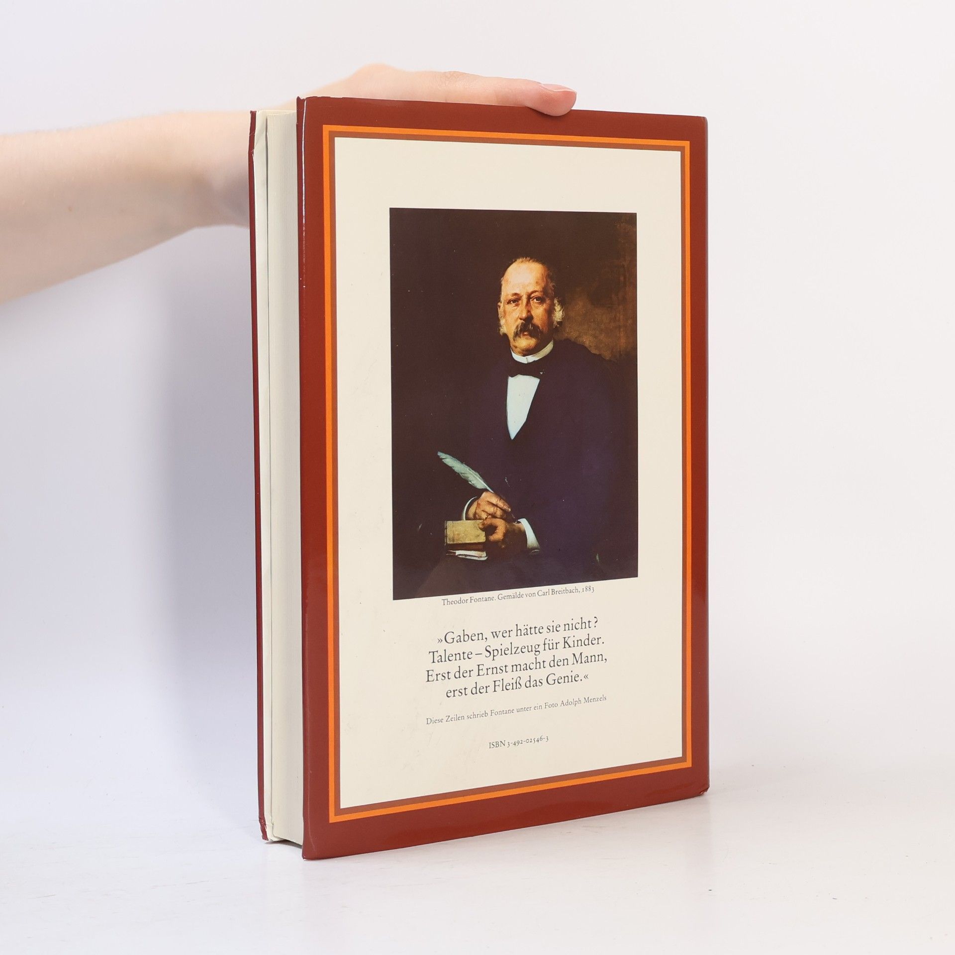Werner Pleister Das große Theodor Fontane Buch