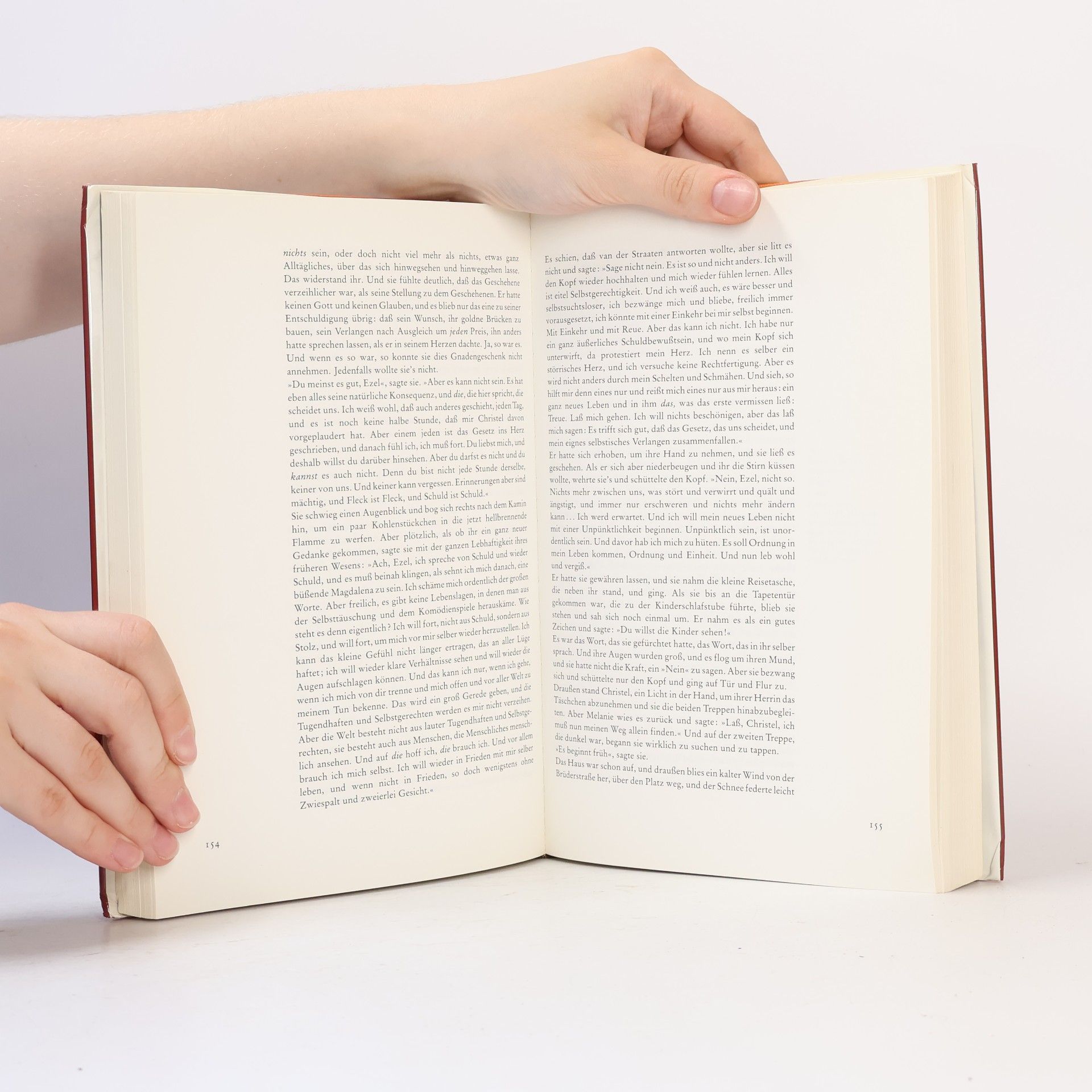 Werner Pleister Das große Theodor Fontane Buch