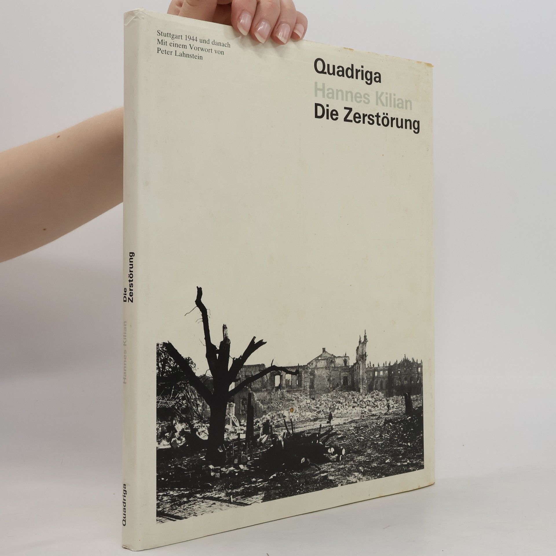 Hannes Kilian Die Zerstörung