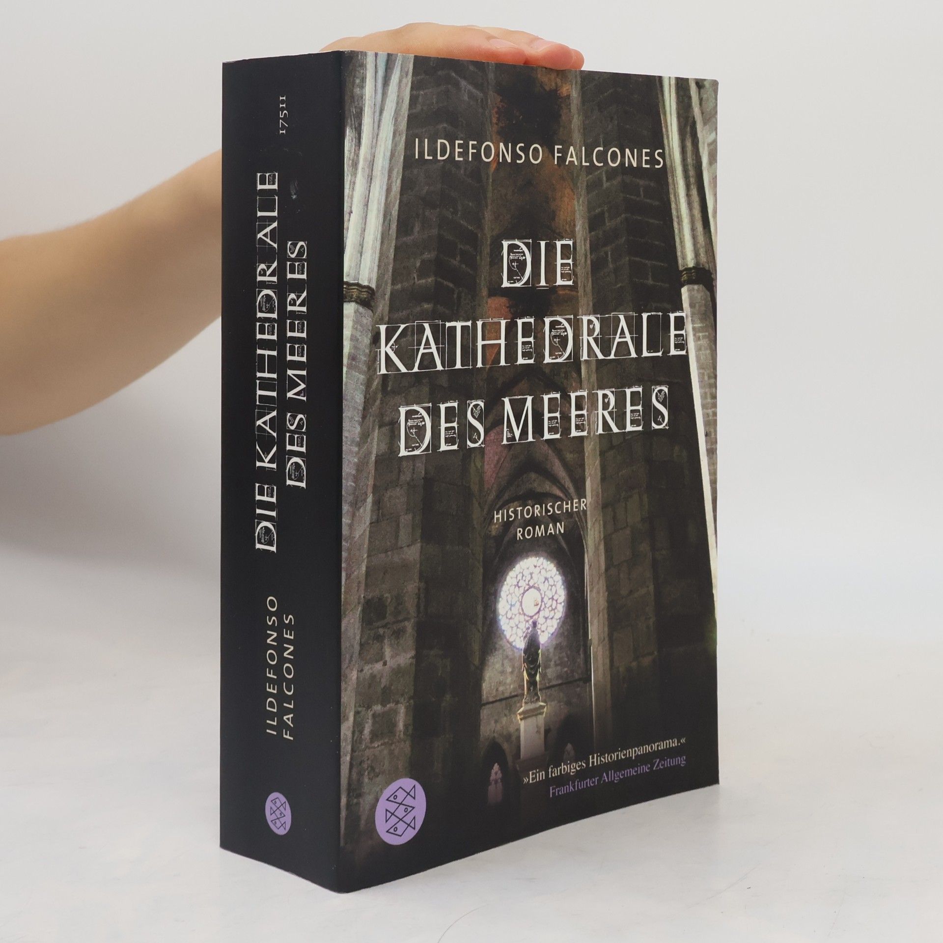 Ildefonso Falcones Die Kathedrale des Meeres