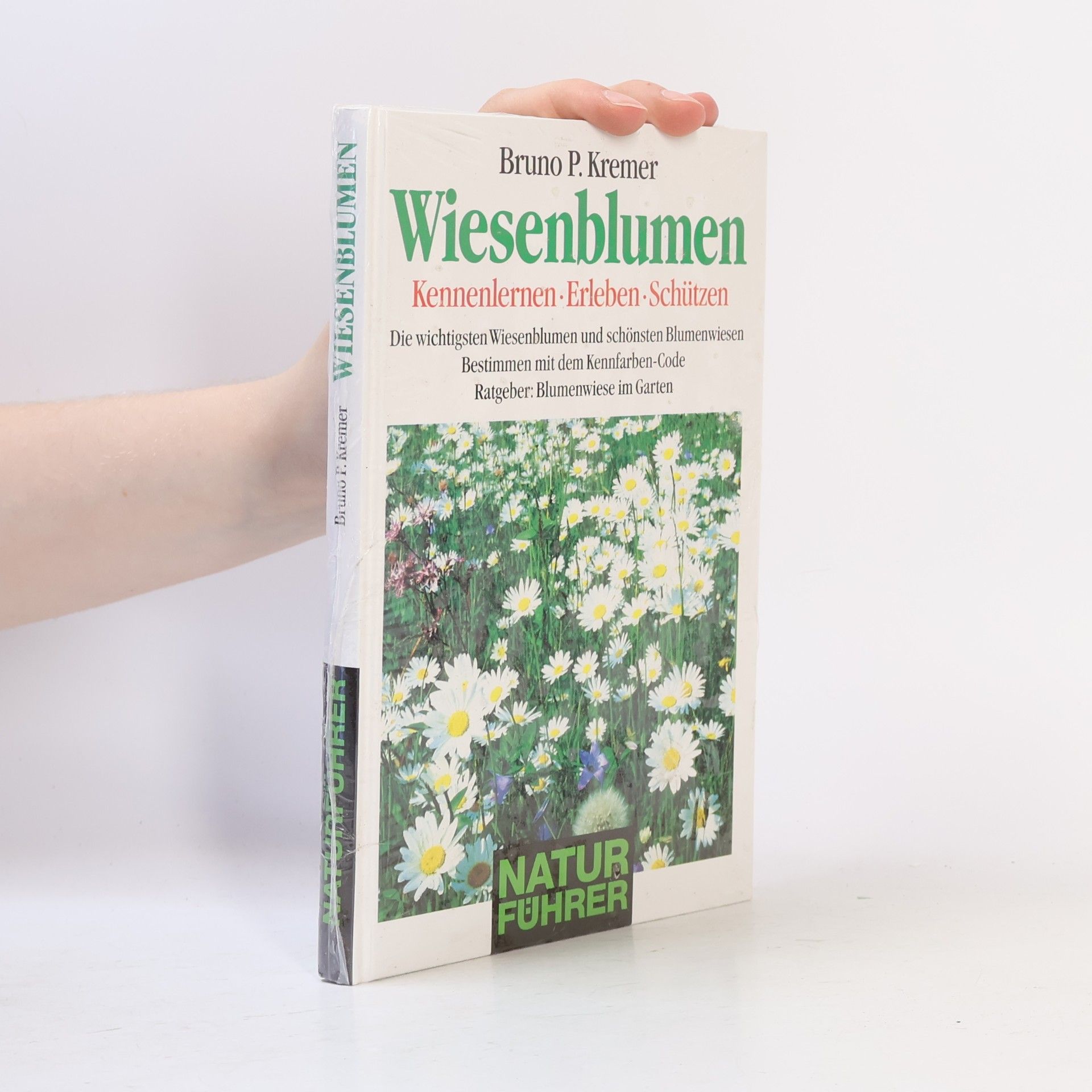 Bruno P. Kremer Wiesenblumen