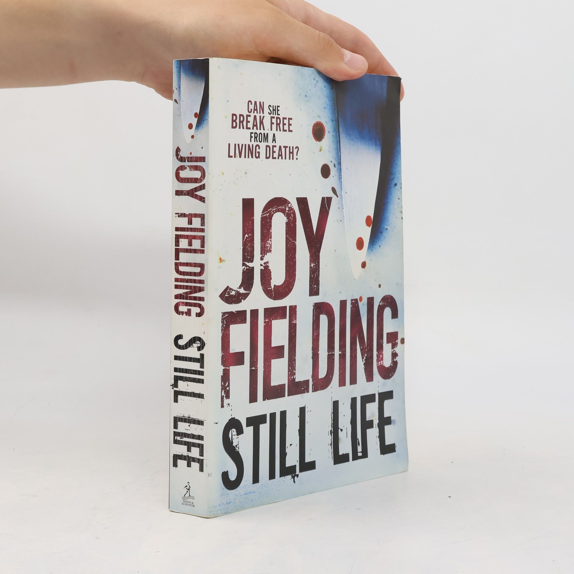 Joy Fielding Still life