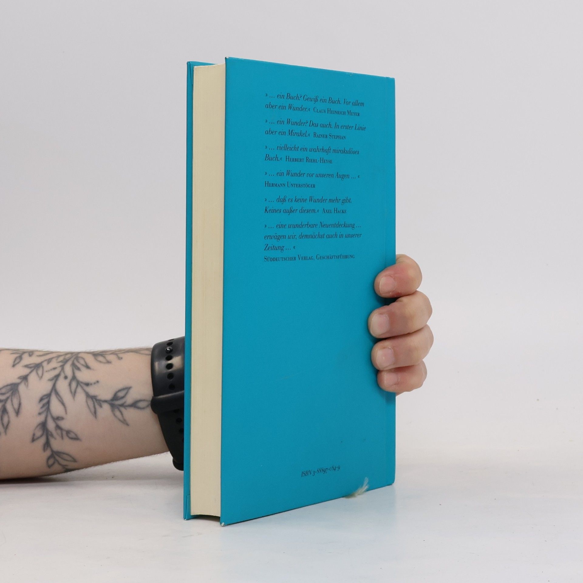 Axel Hacke Das Streiflichtbuch