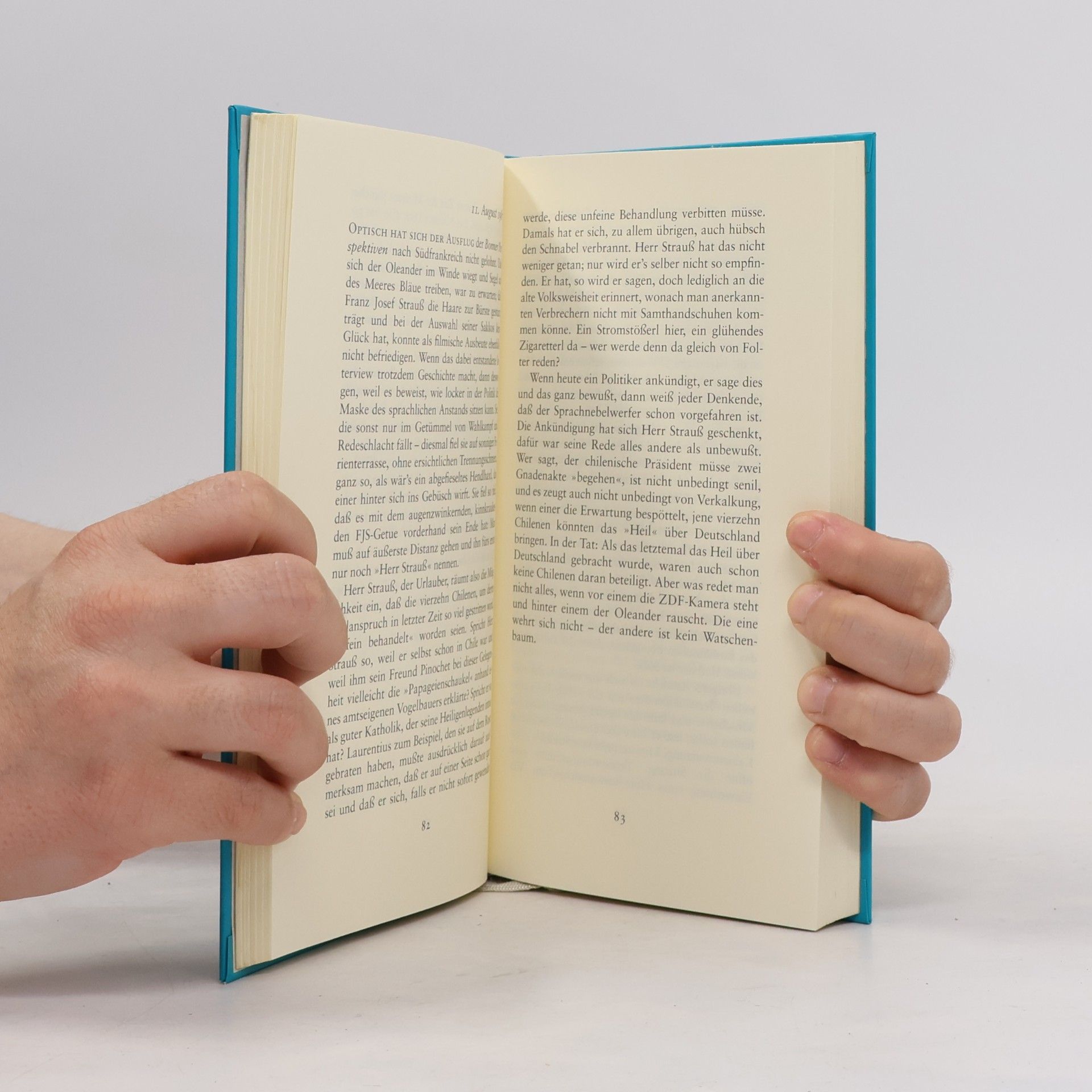 Axel Hacke Das Streiflichtbuch