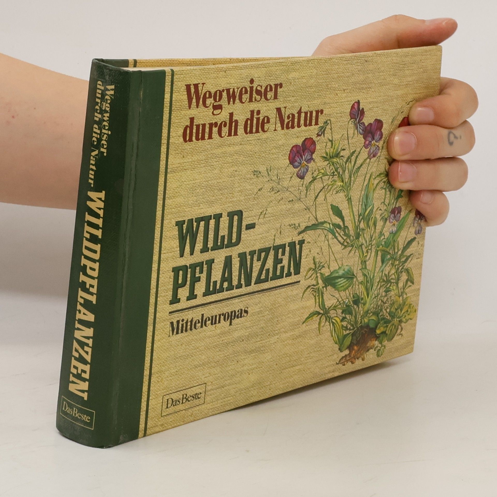 Autores varios Wildpflanzen Mitteleuropas
