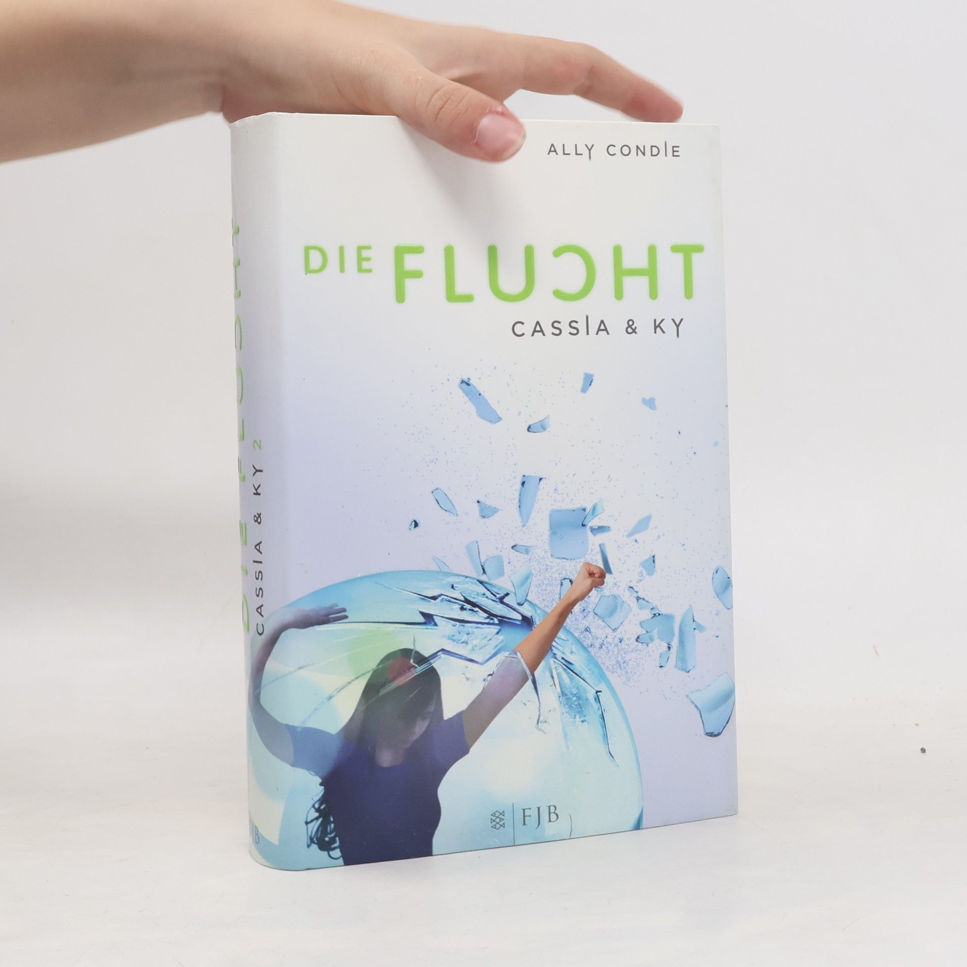 Allyson Braithwaite Condie Die Flucht